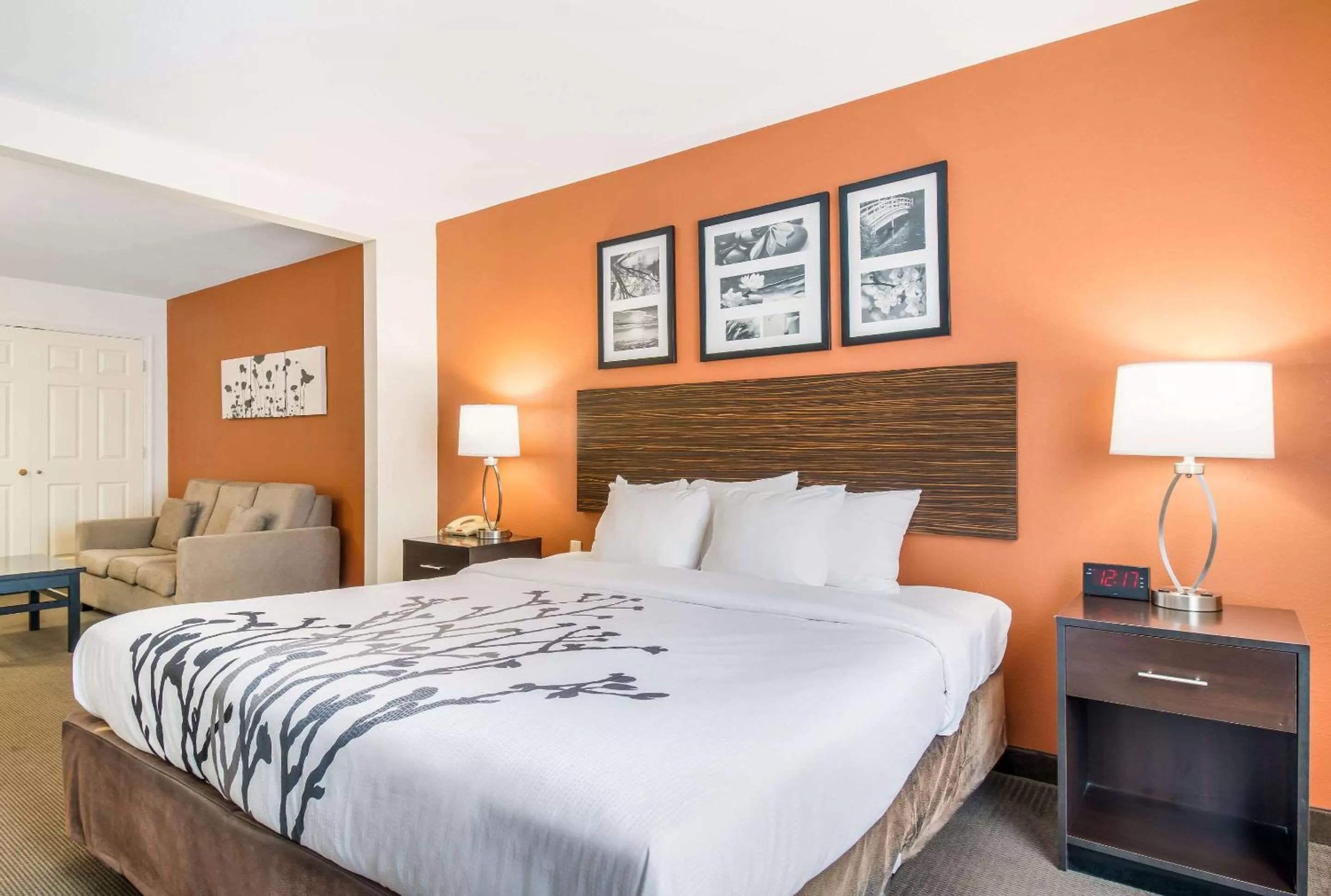 Bedroom in Sleep Inn & Suites Ronks