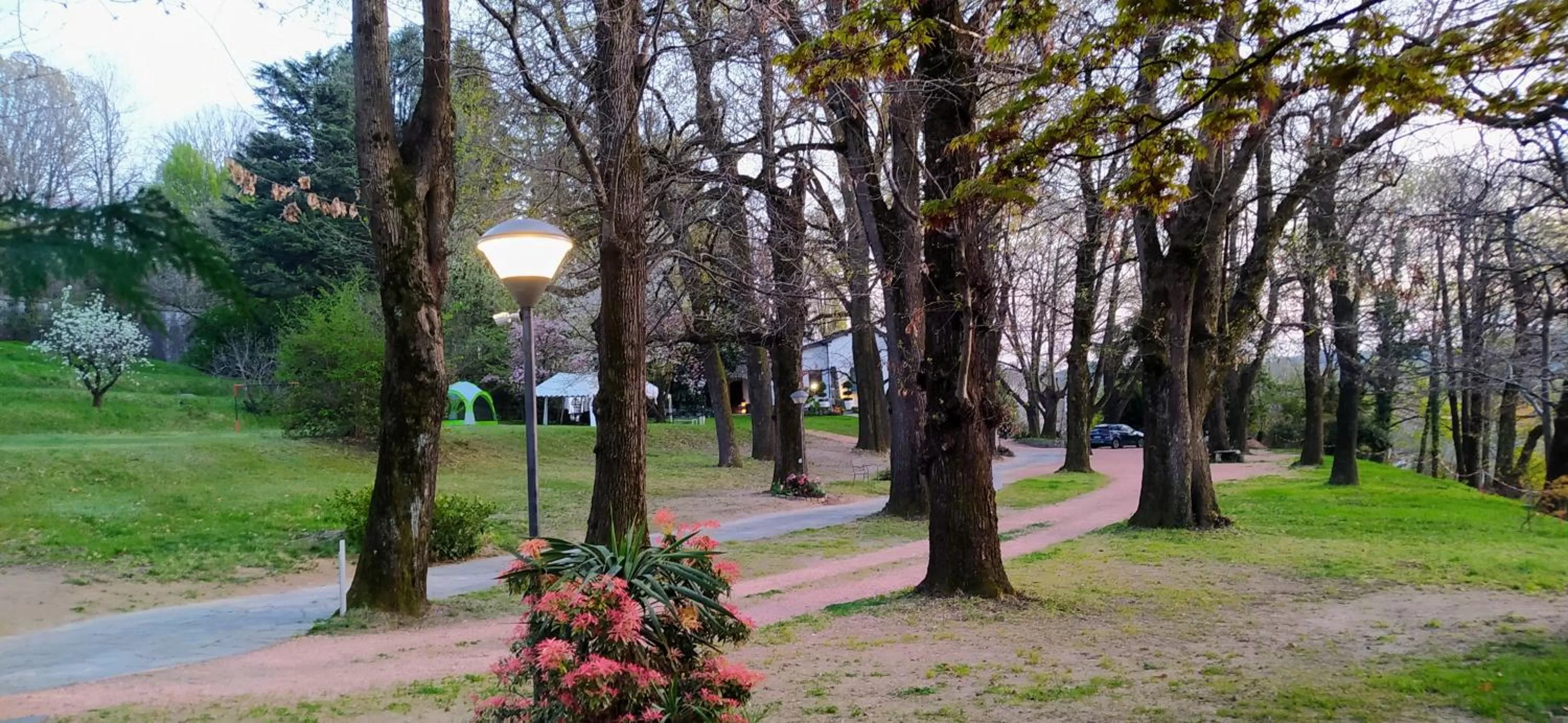 "La Selvetta" bed and breakfast