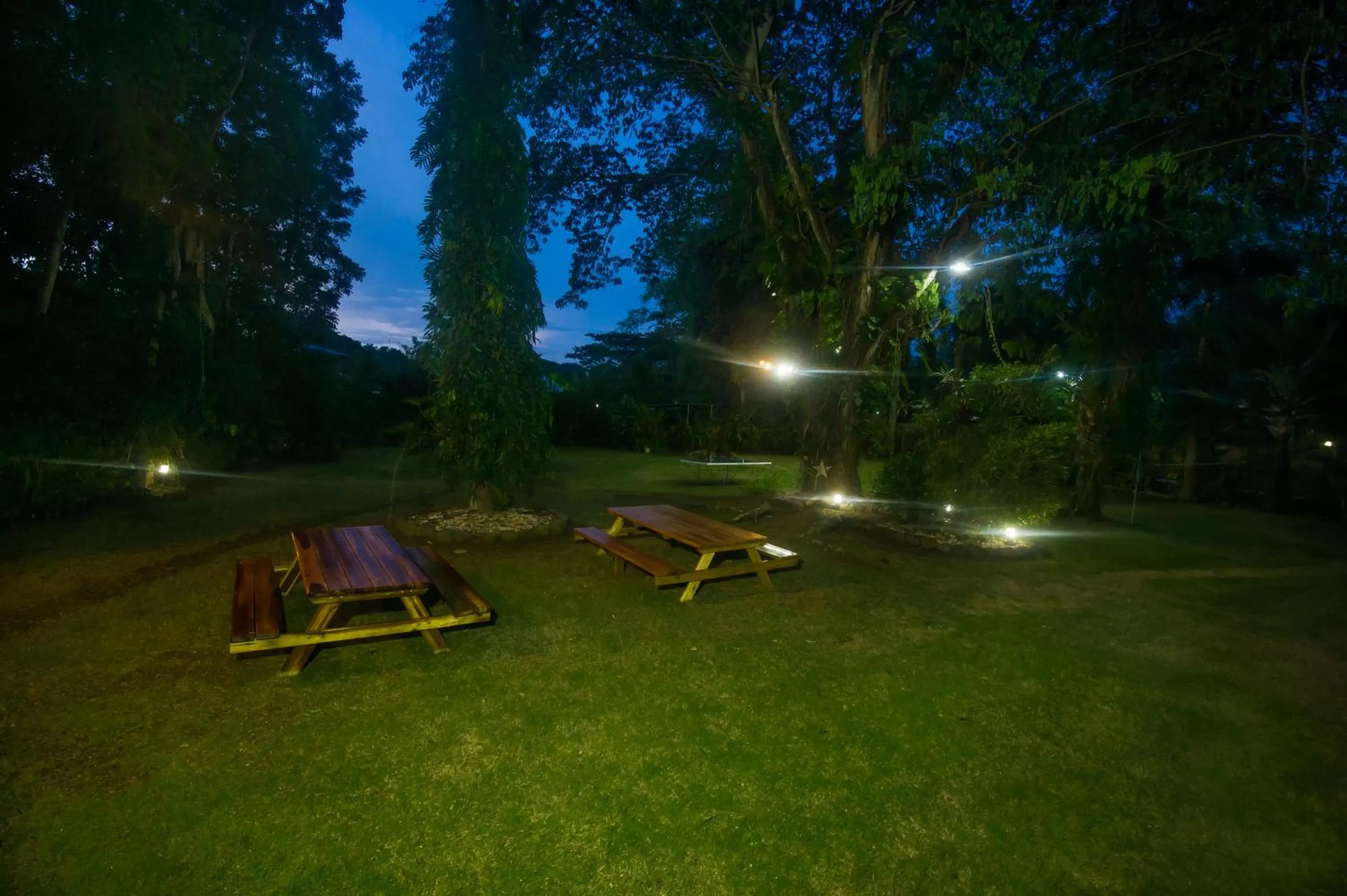 Garden in Balay Tuko Garden Inn