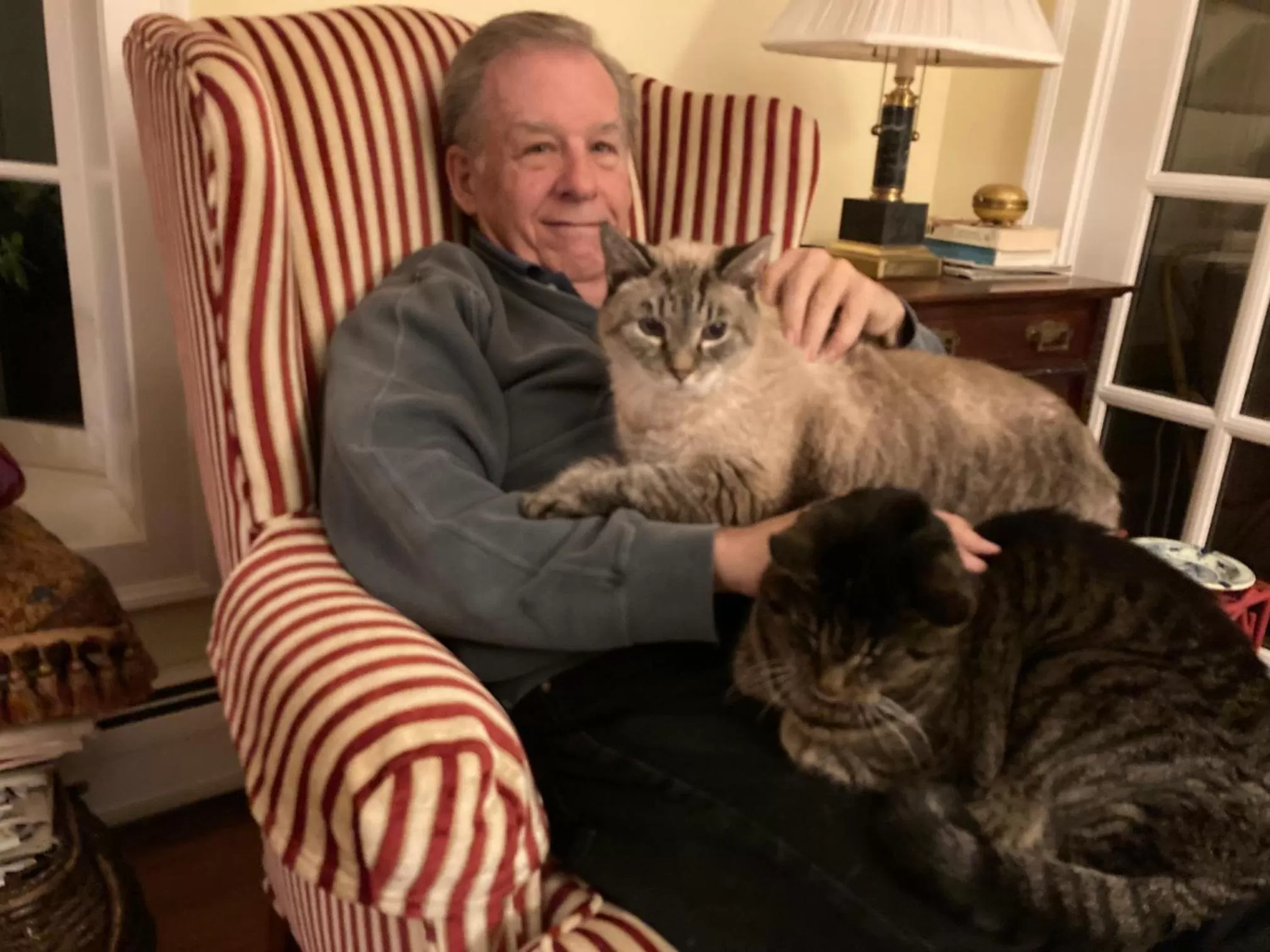 Pets in The Birch Grove