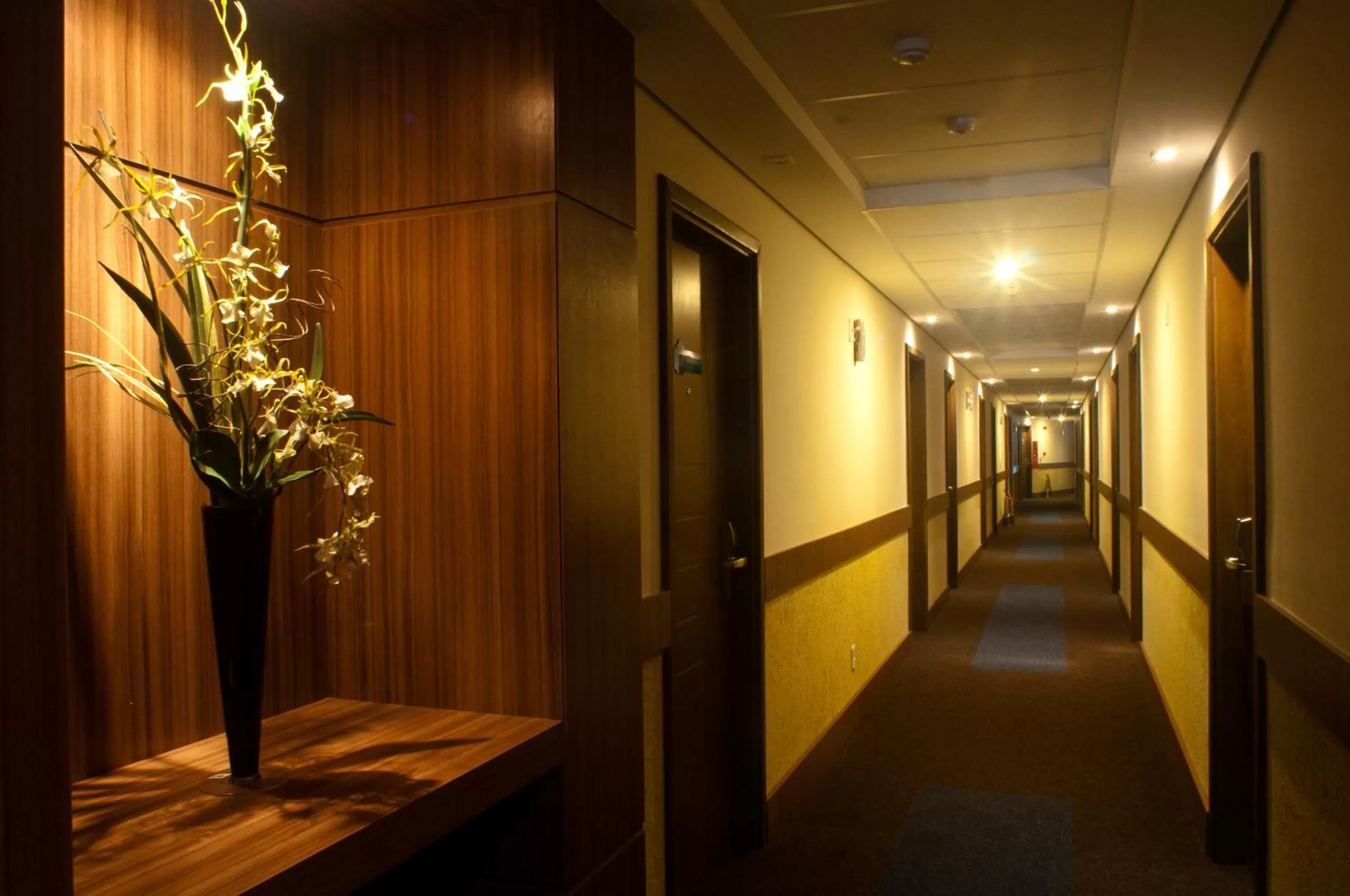 Facade/entrance in Hotel Estação 101 - Itajaí