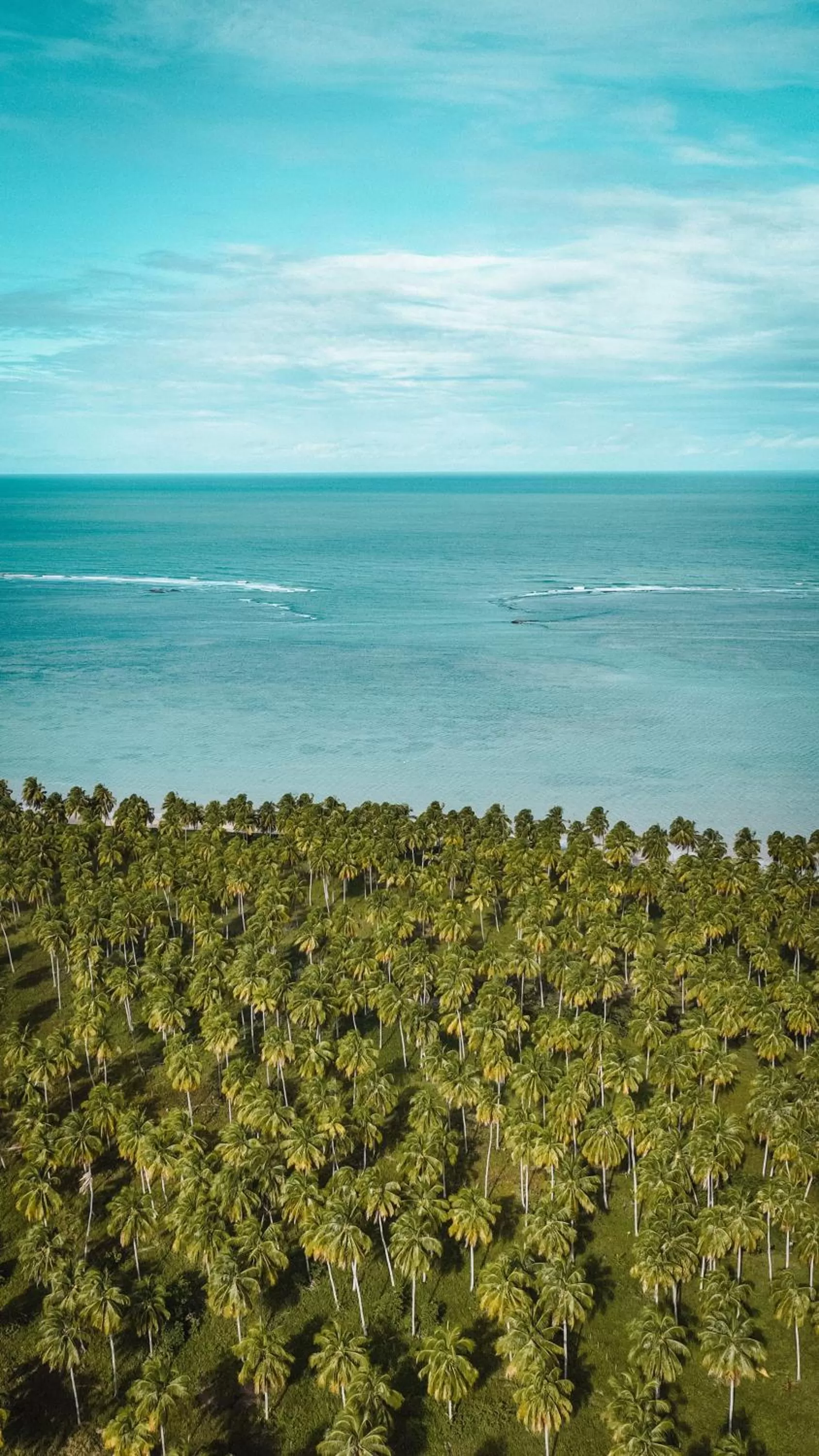Beach in Villa Canziani & Donato