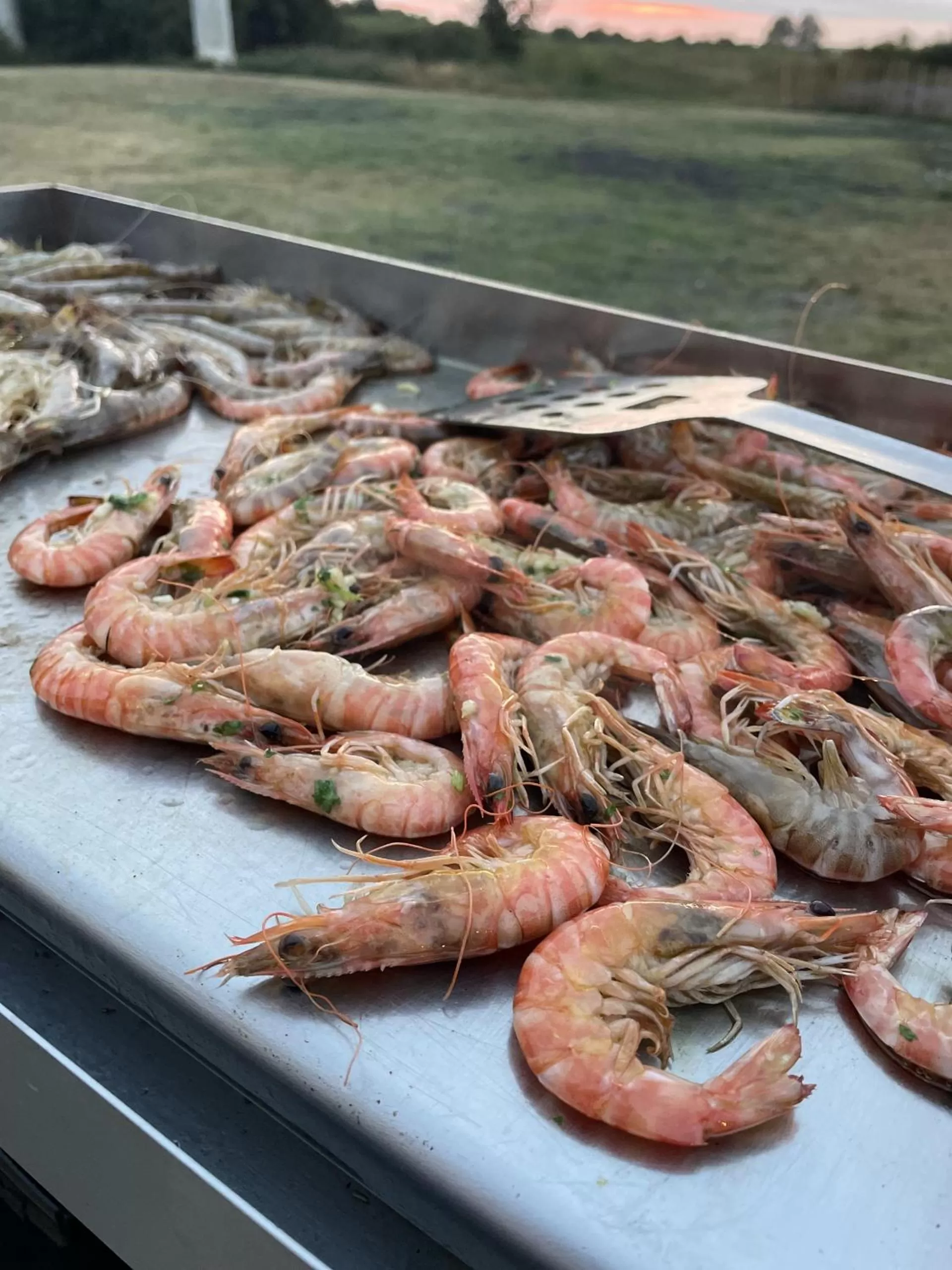 Food and drinks in Château de Neyran chambre d'hôtes & Spa