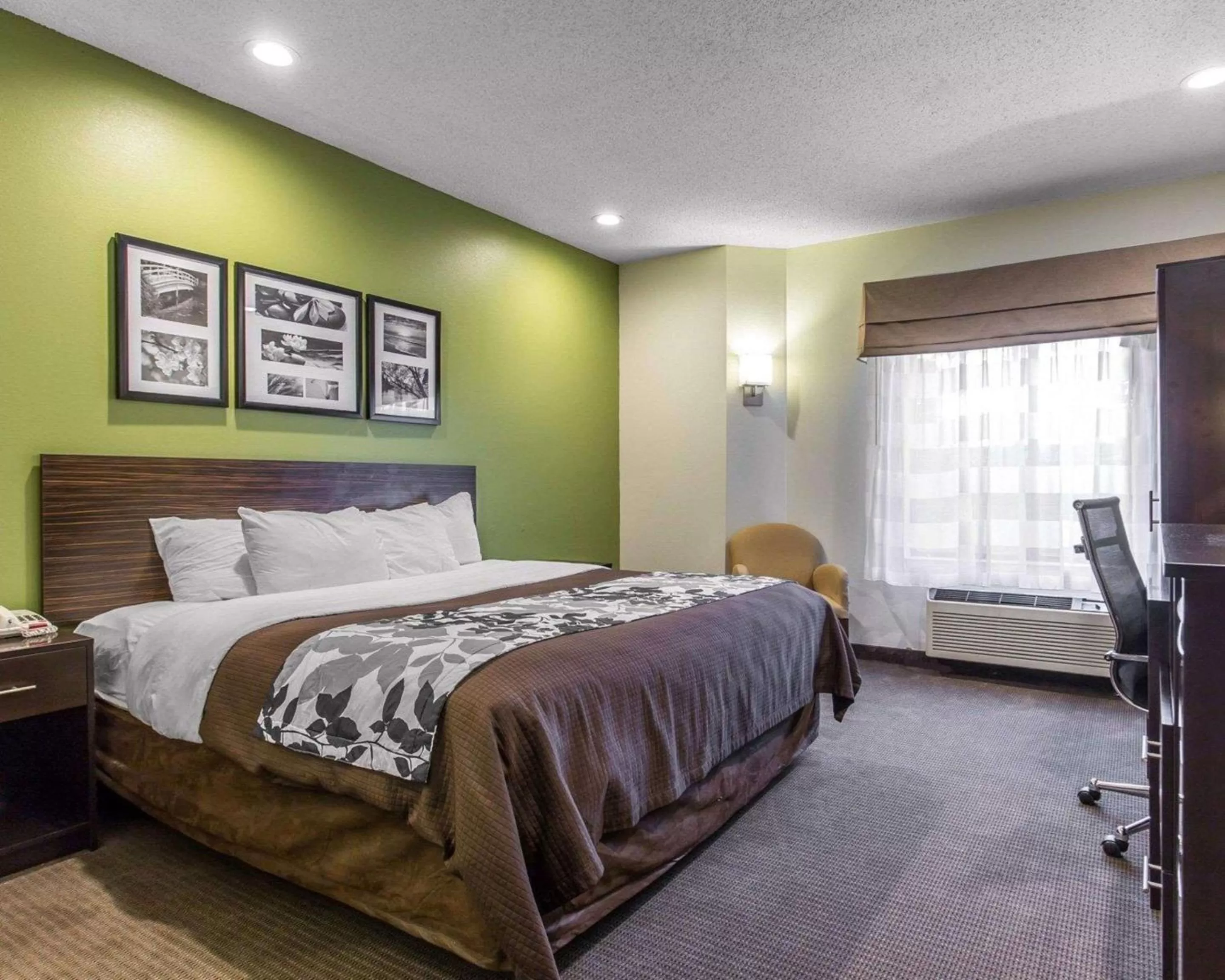 Photo of the whole room, Bed in Sleep Inn Columbia