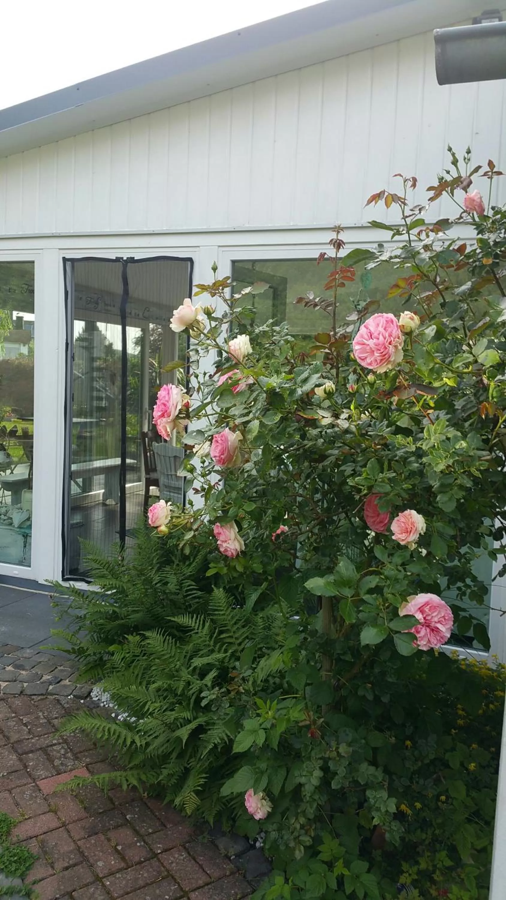 Facade/entrance in Villa Jani b&b