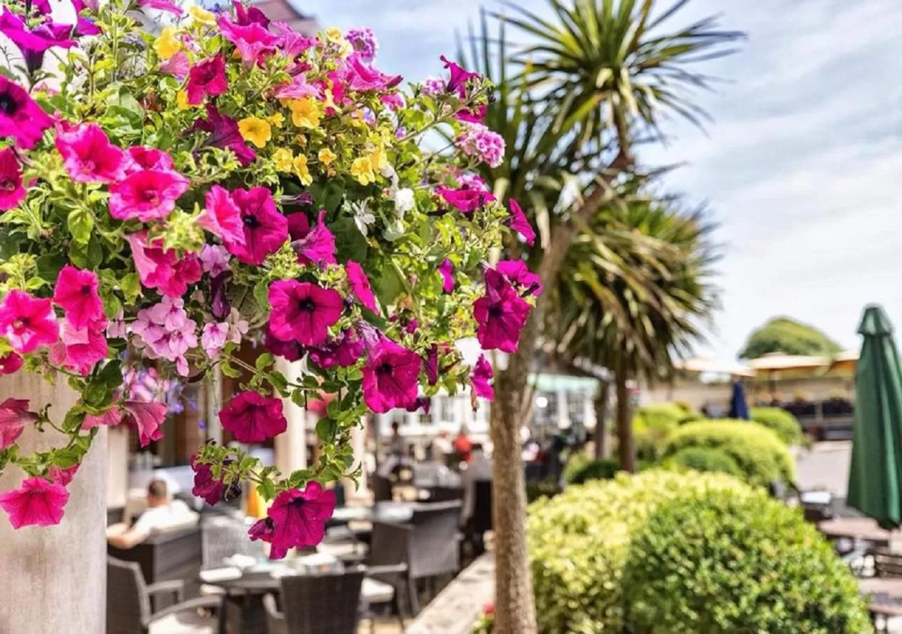 Property building in Hotel Miramar