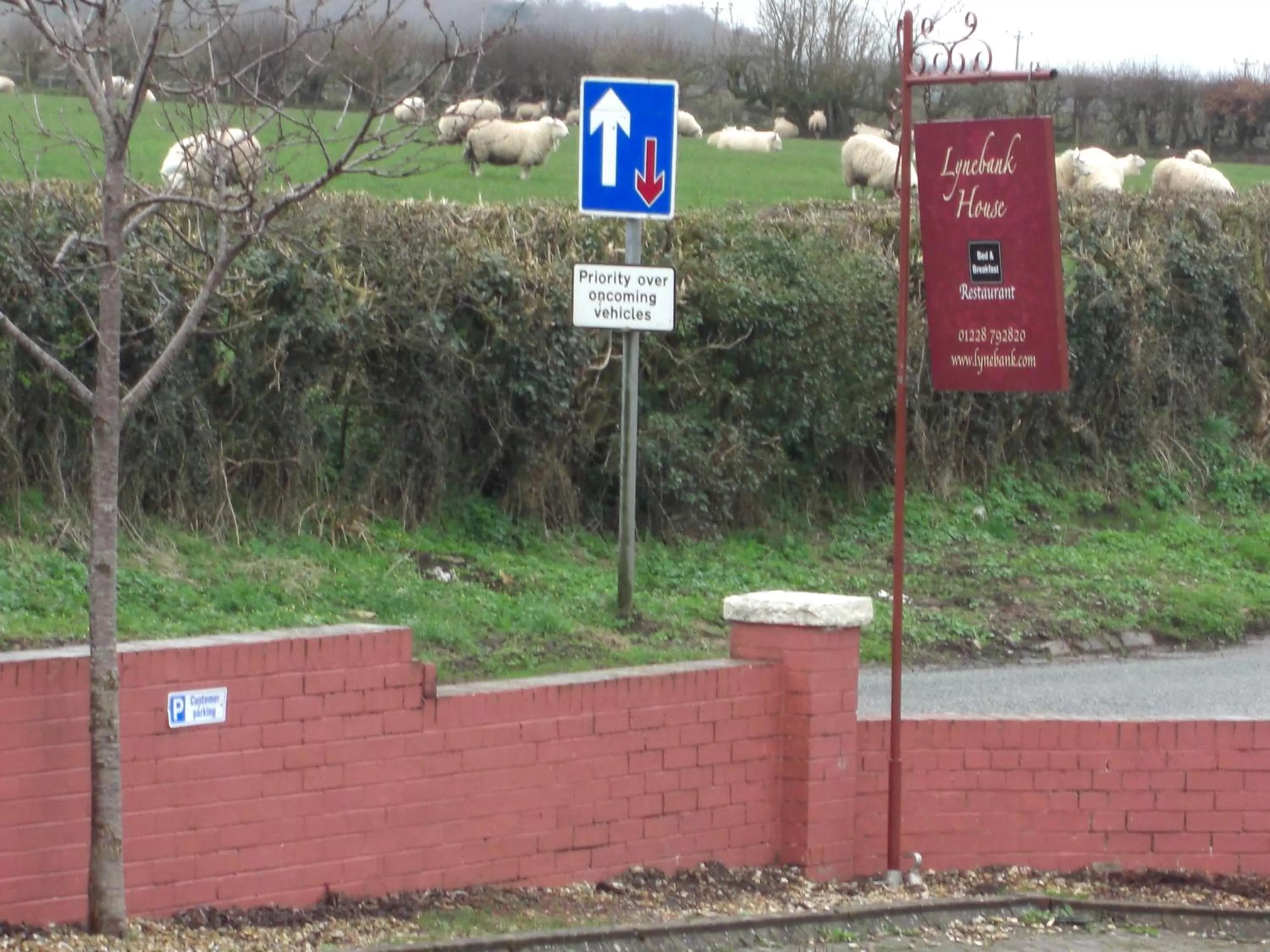 Neighbourhood in Lynebank House Hotel, Bed & Breakfast