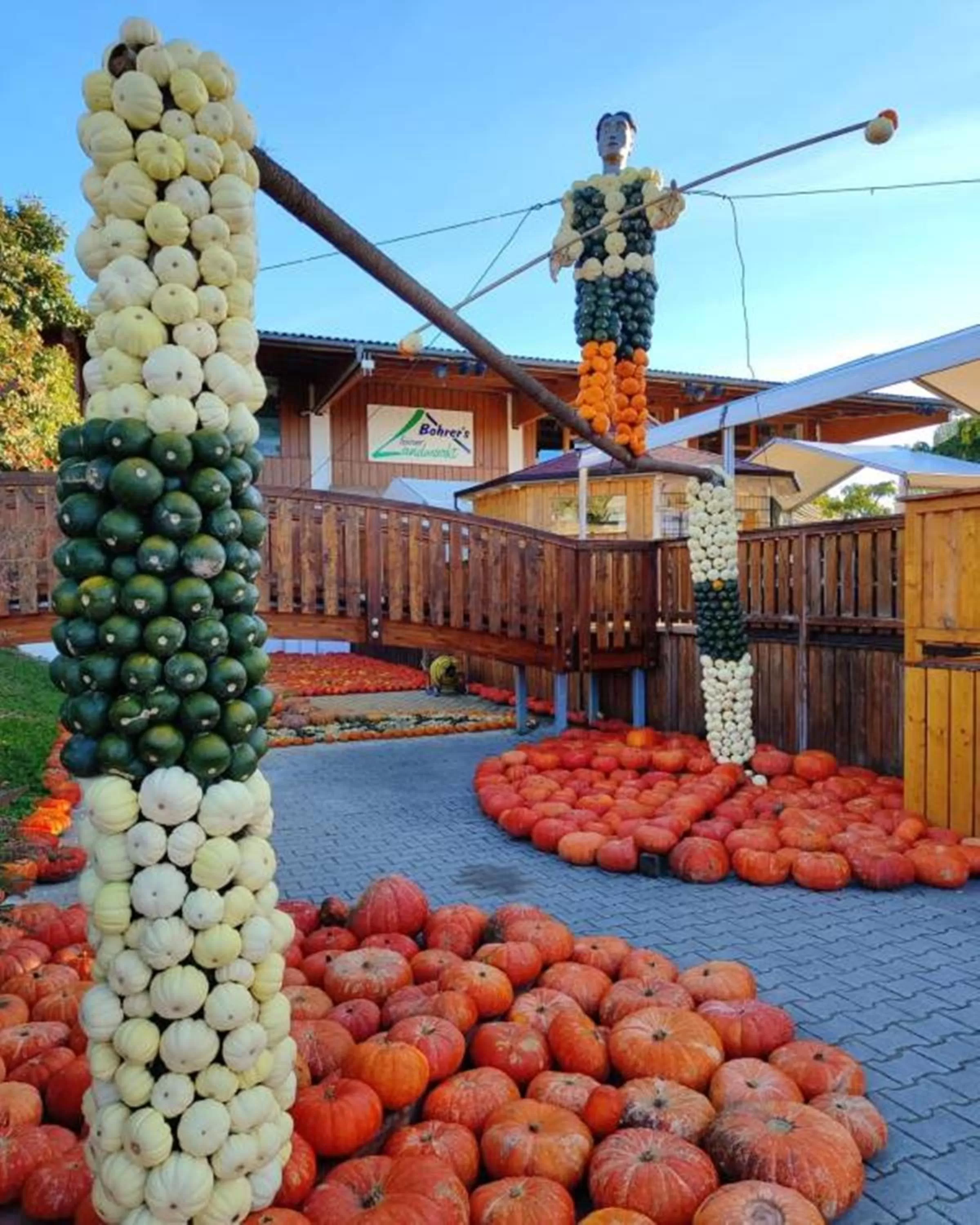 Area and facilities in Landhotel Bohrerhof