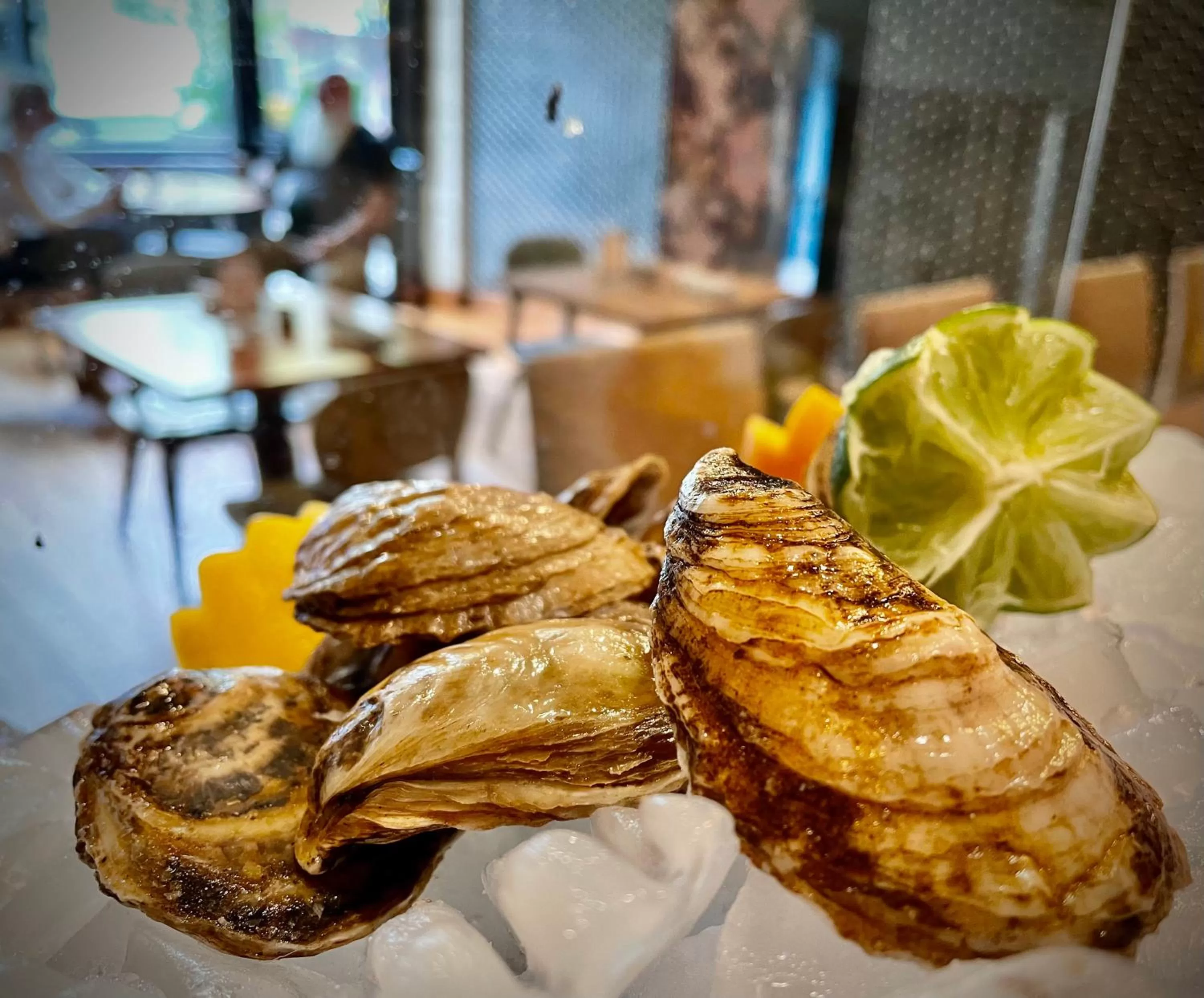 Restaurant/places to eat in voco The Tiger Hotel, Columbia, MO by IHG