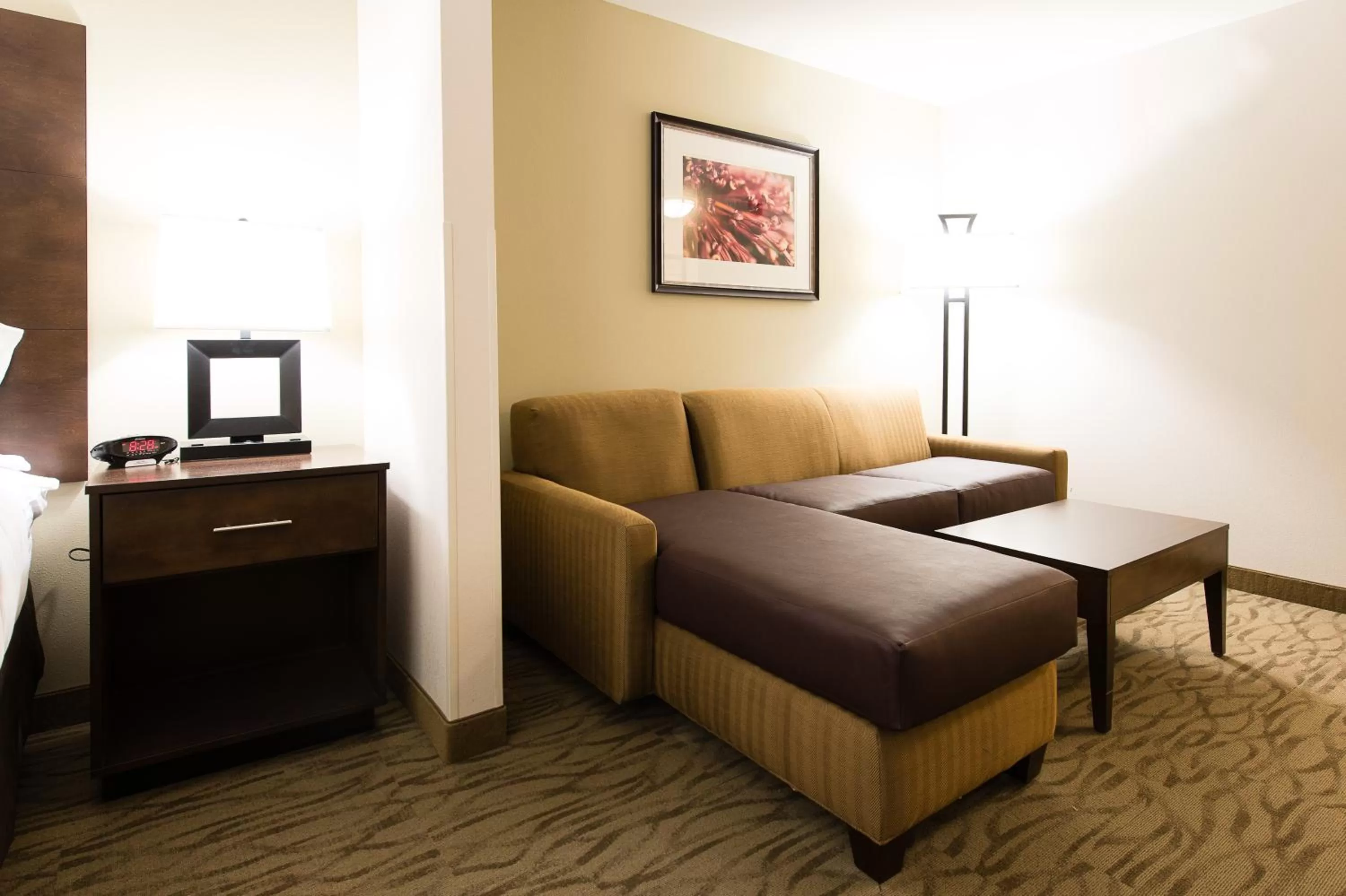 King Room with Sofa Bed in Holiday Inn Express & Suites Aiken, an IHG Hotel