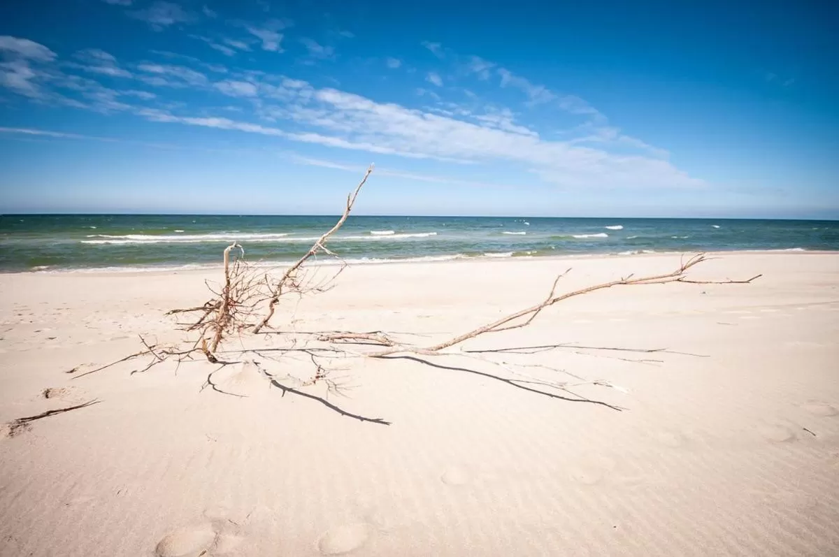 Natural landscape in Hotel Jantar Wellness & Spa