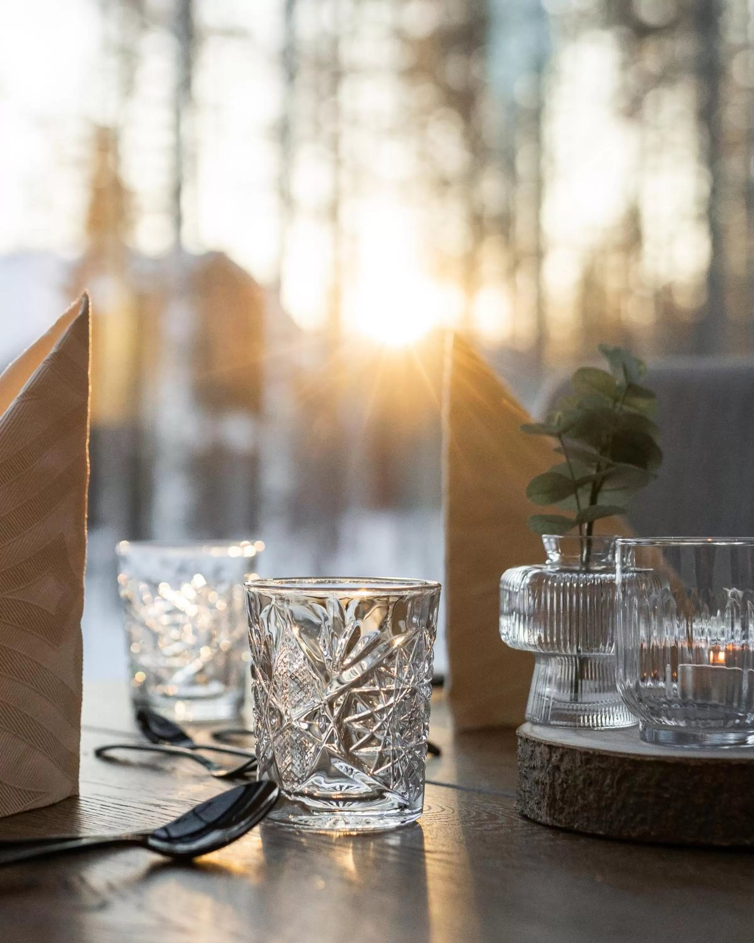 Restaurant/places to eat in Nova Skyland Hotel