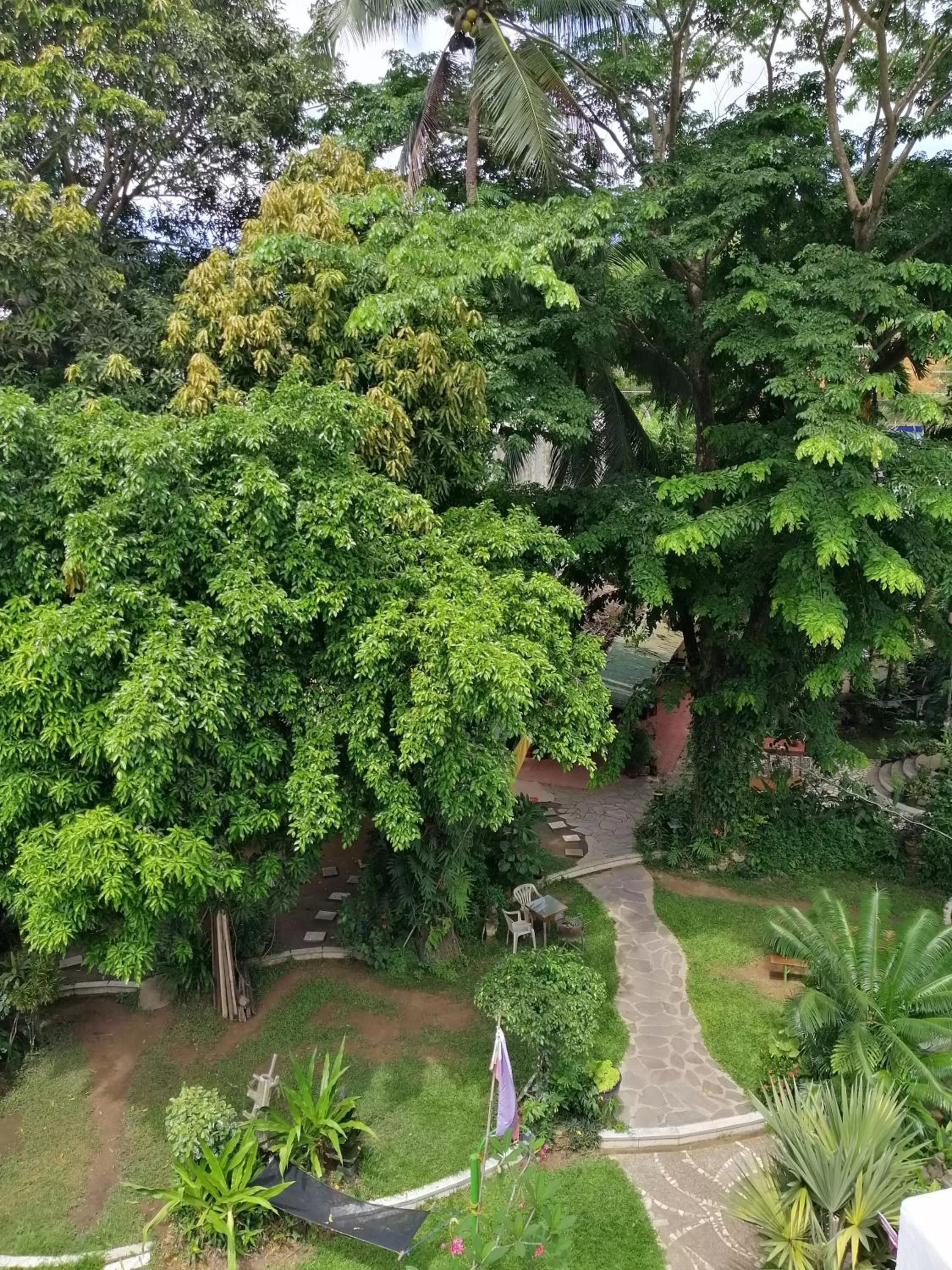 Natural landscape in Kokosnuss Garden Resort