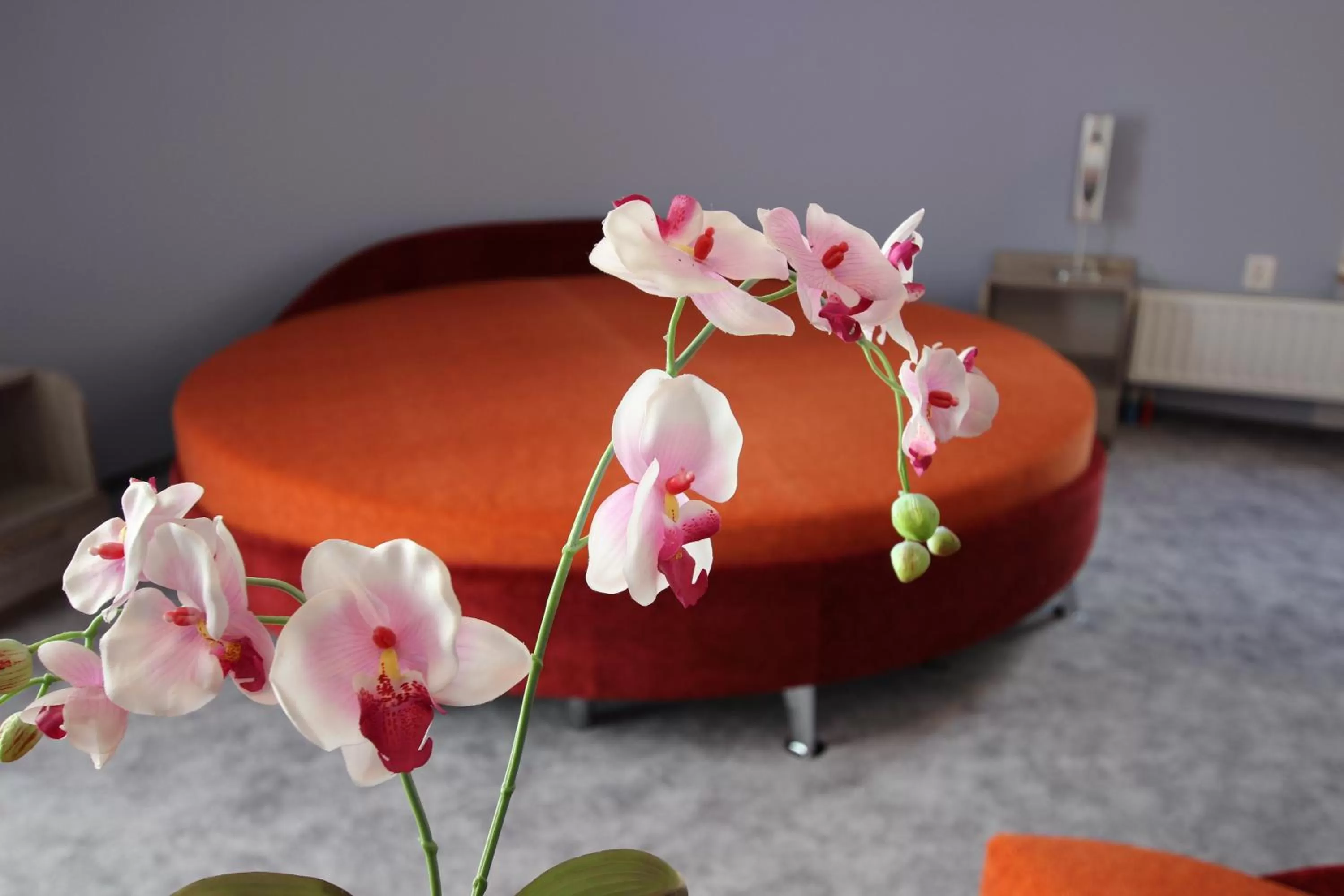 Photo of the whole room in Resident Rene