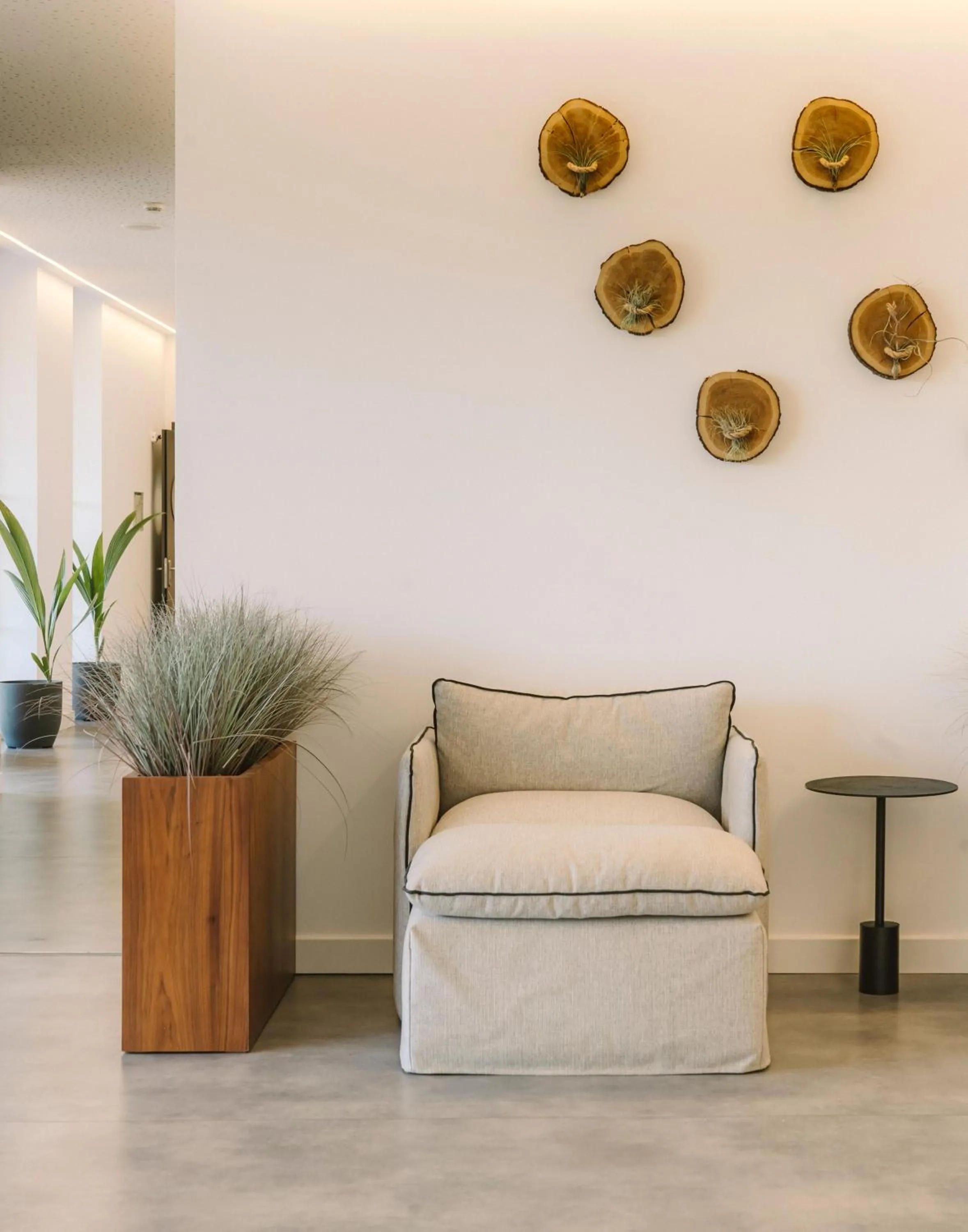 Decorative detail in Longevity Health & Wellness Hotel - Adults Only