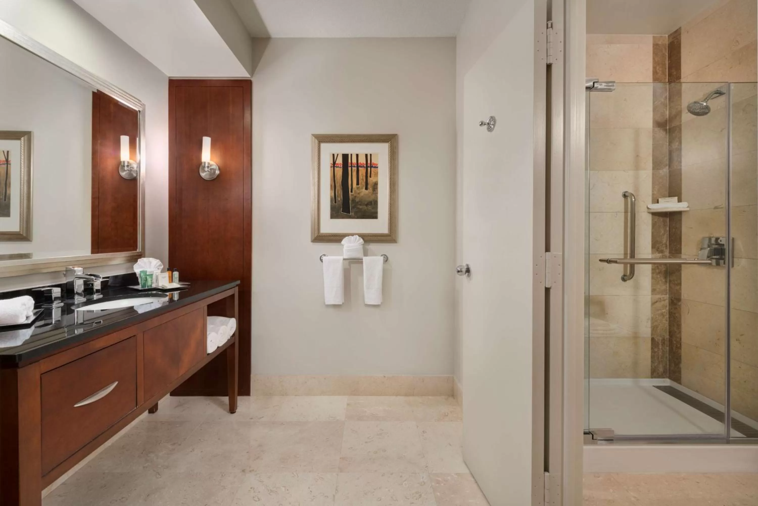 Bathroom in Hilton Houston Post Oak by the Galleria