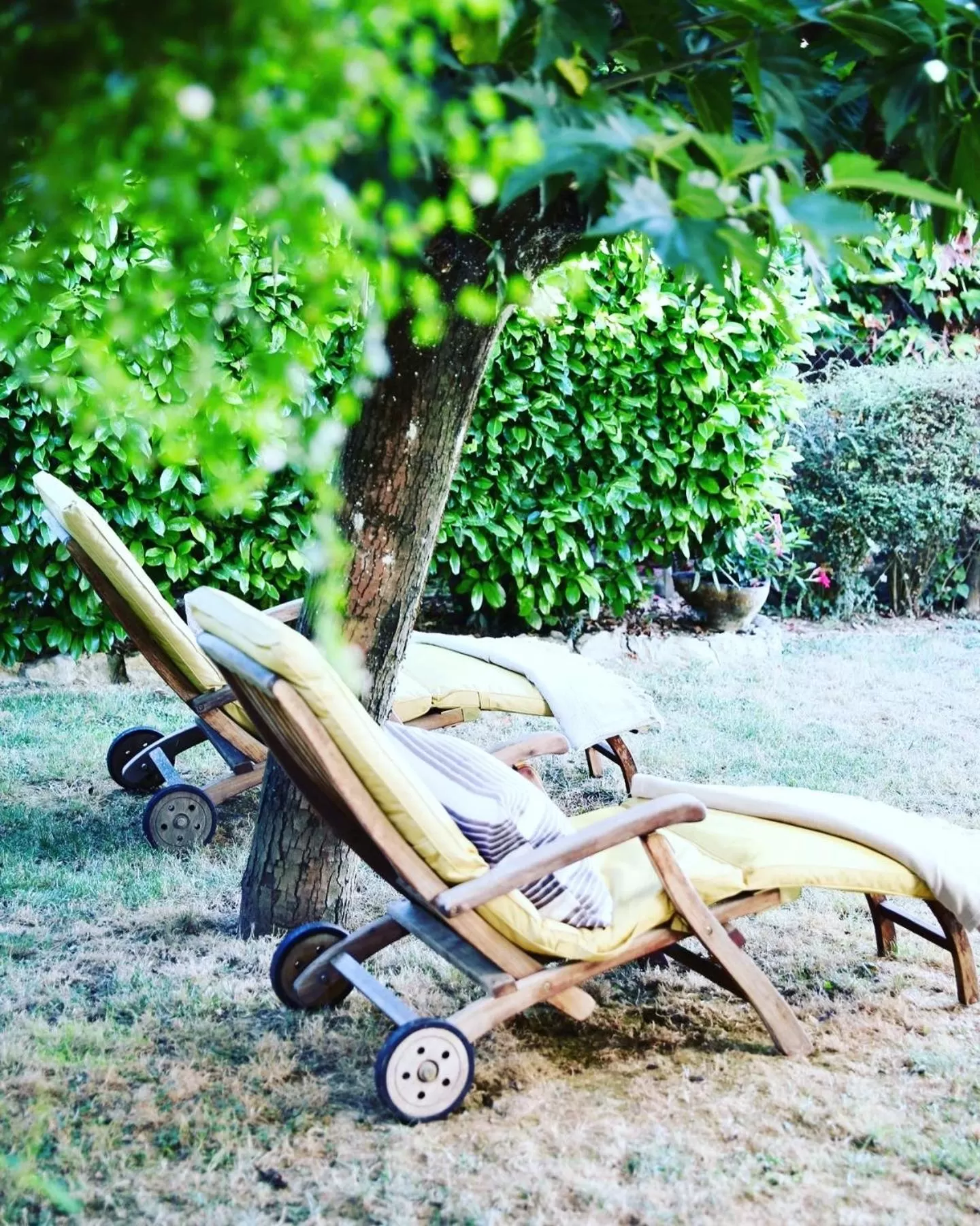 Garden in MAGNOLIA HOME 32