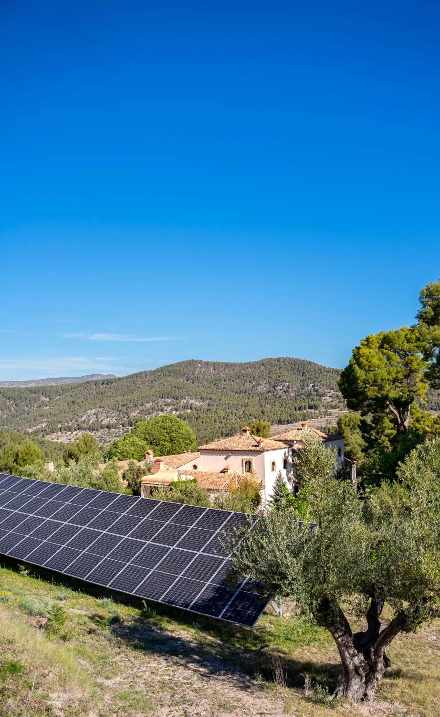 Mountain view in Eco Hotel con encanto Masía la Mota B&B