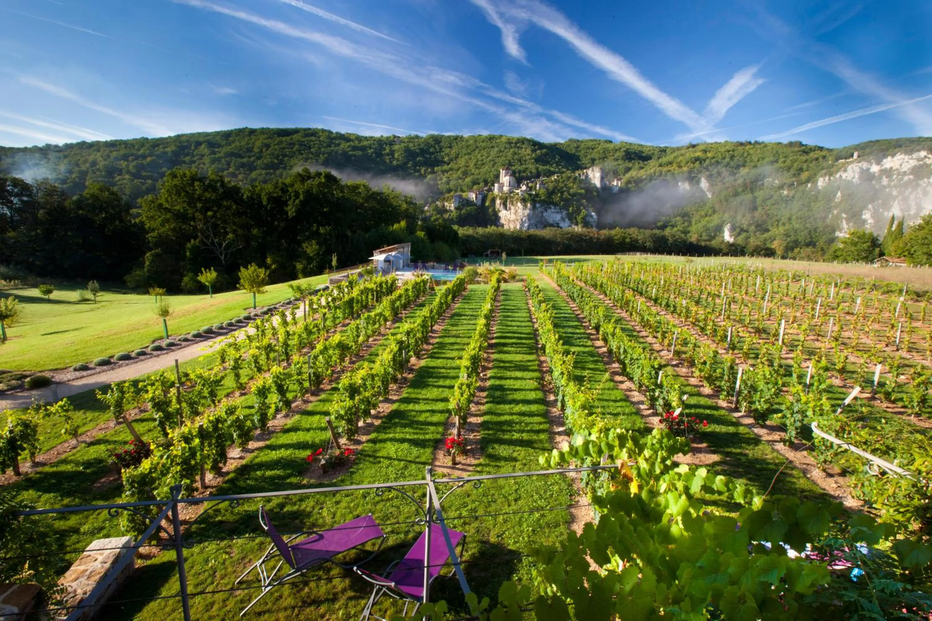 Garden in Hôtel-Spa Le Saint Cirq
