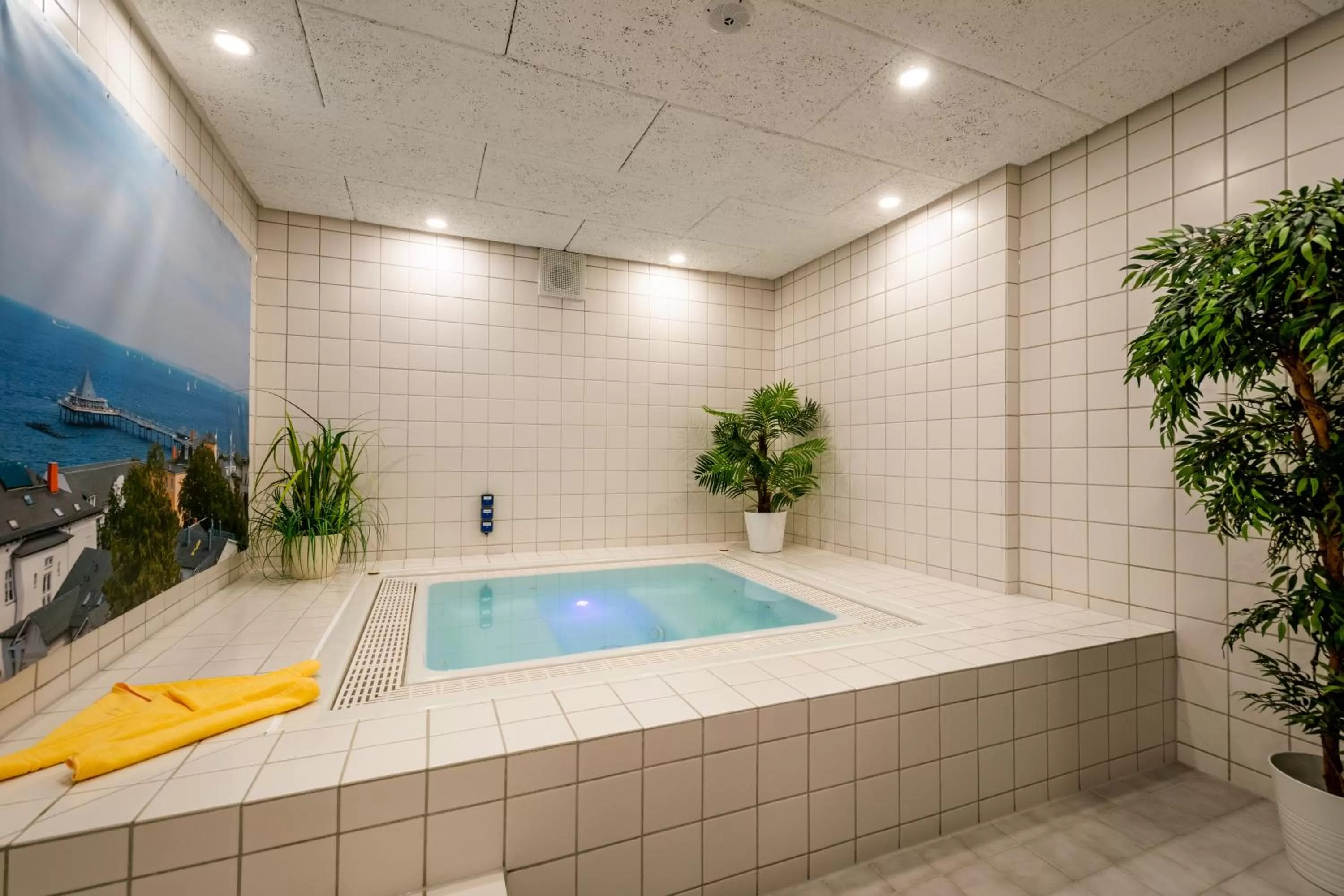 Hot Tub in Hotel Wald und See