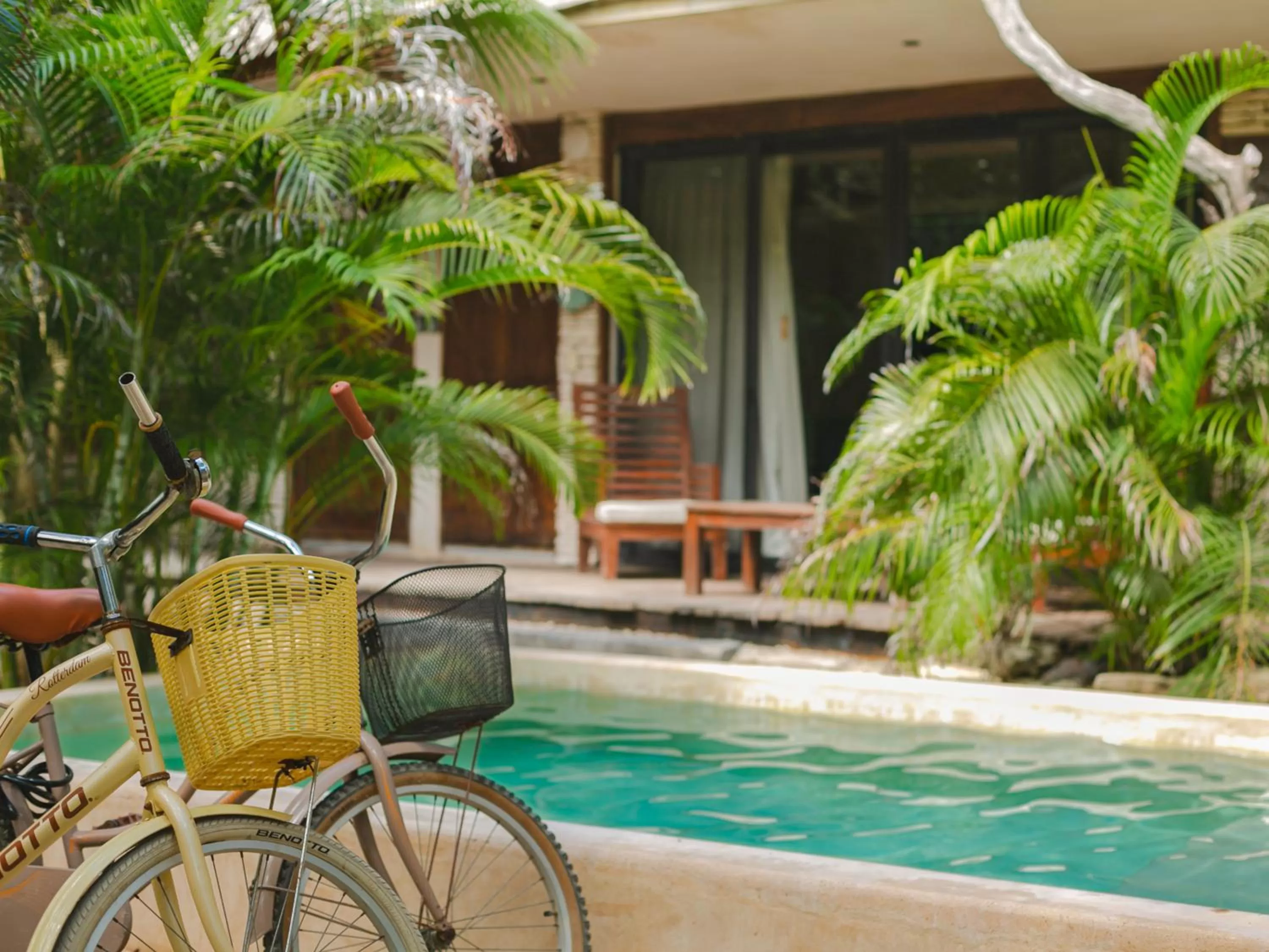 Garden in Suites Tulum