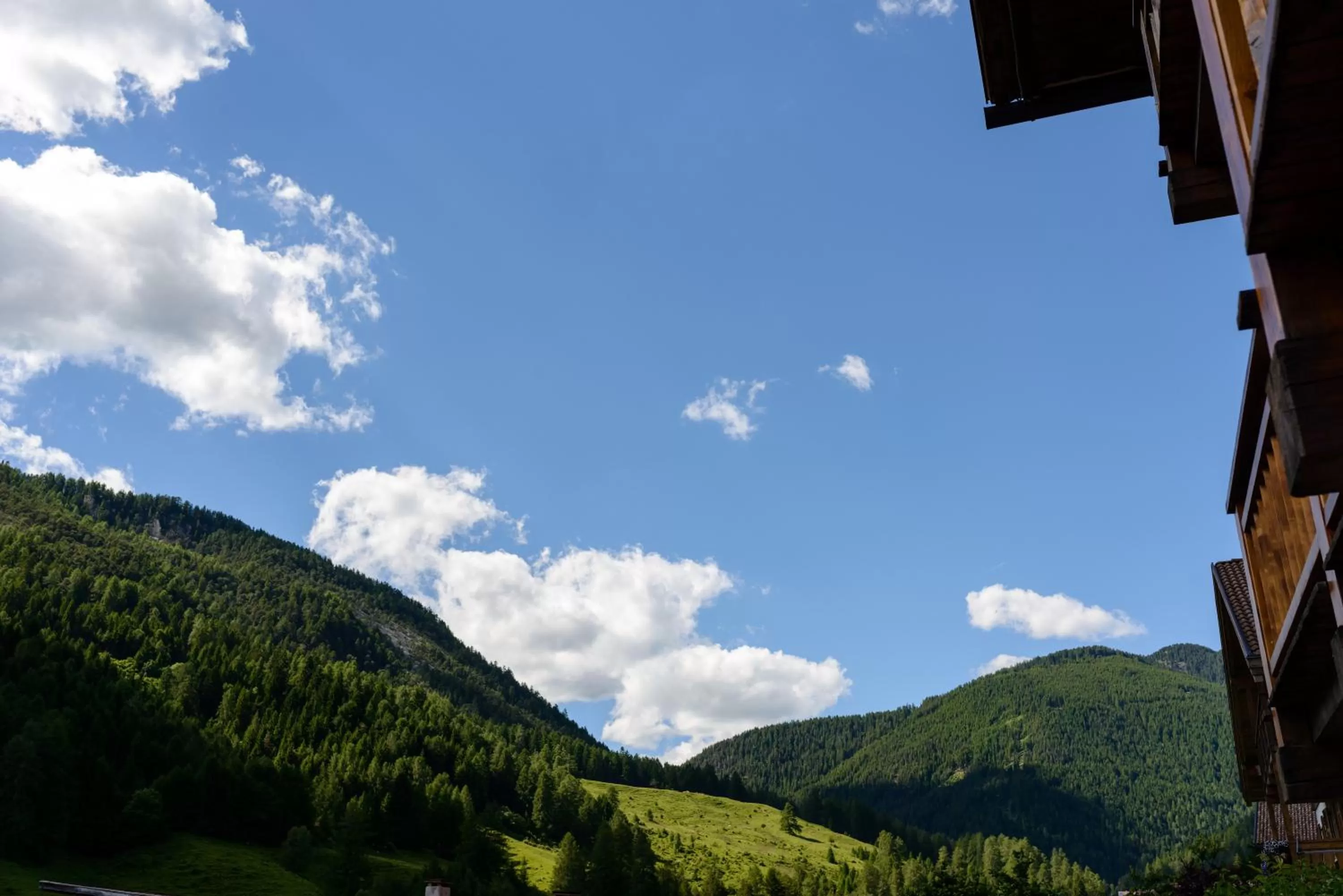 Mountain view in FORESTO holiday apartments