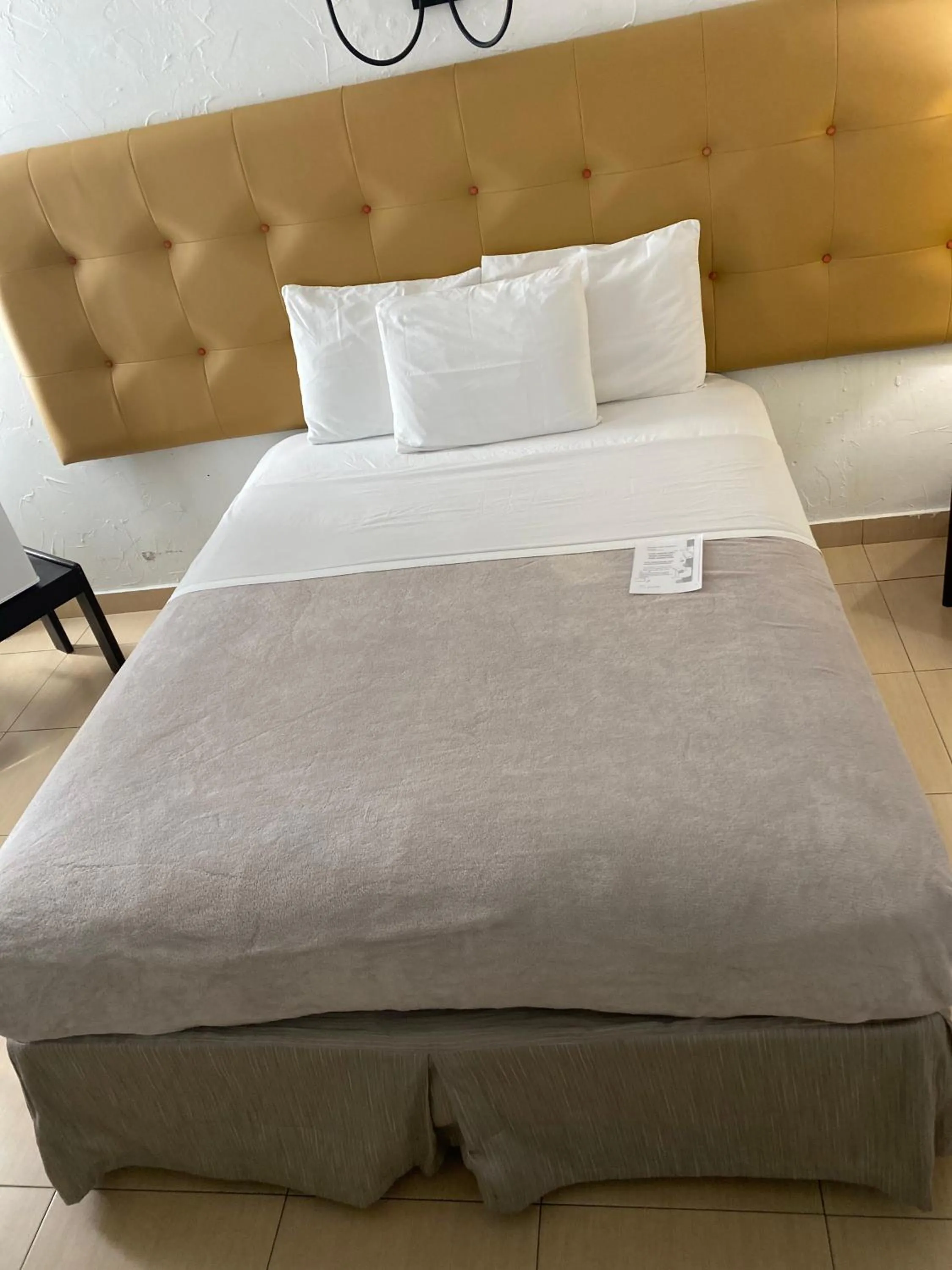 Bed in Coral by the Sea