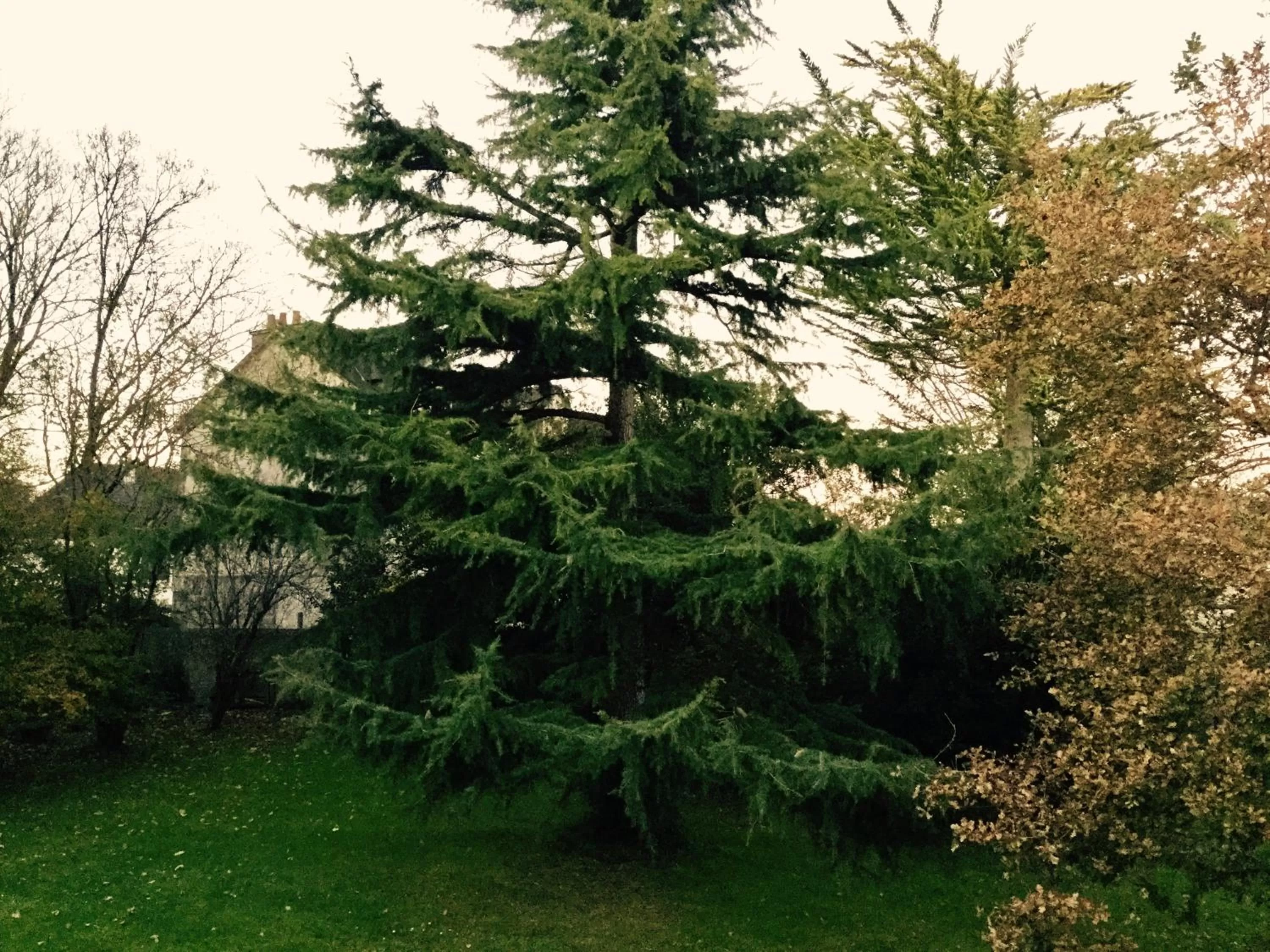 Photo of the whole room in Auberge de Keranden