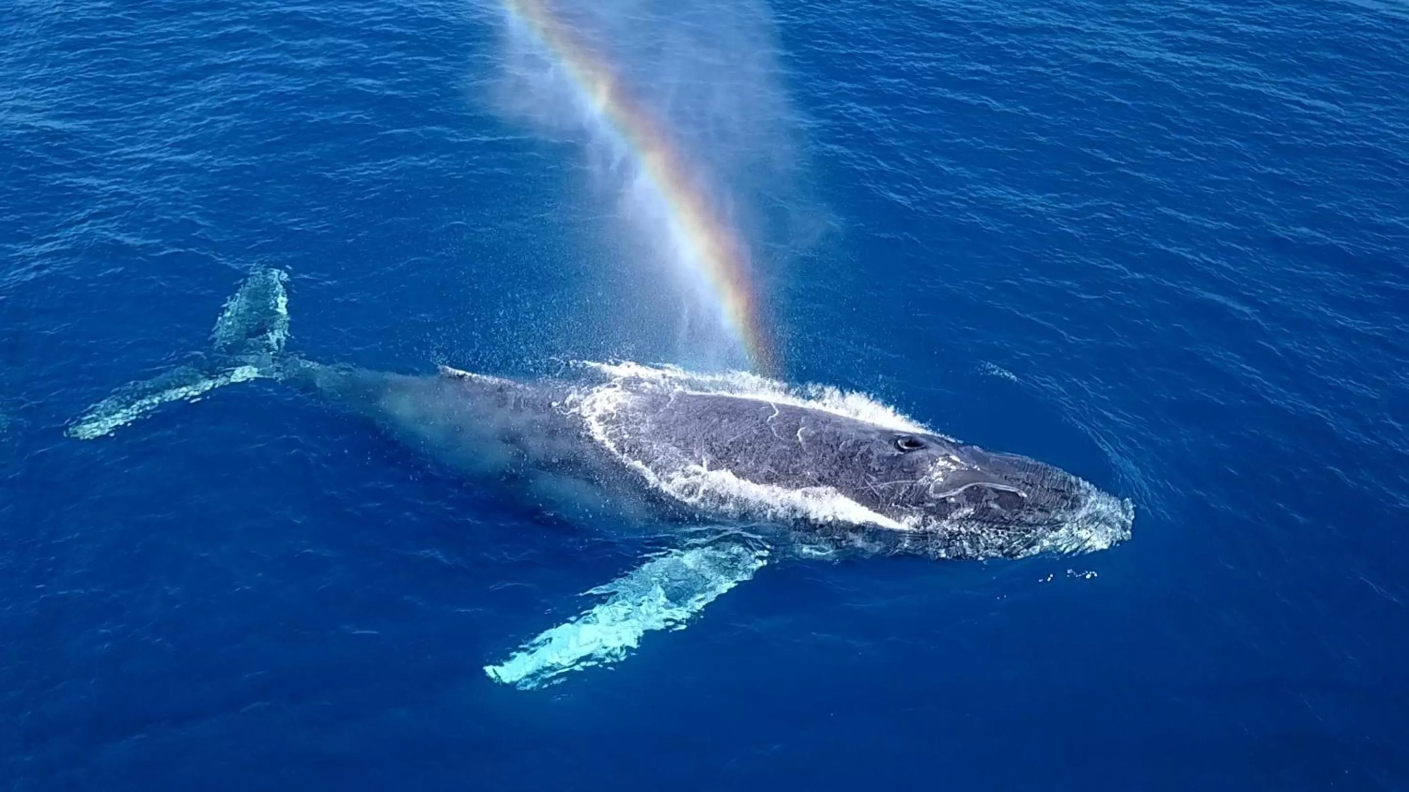 Activities in Le Blanc Spa Resort Los Cabos - Adults Only - All-Inclusive