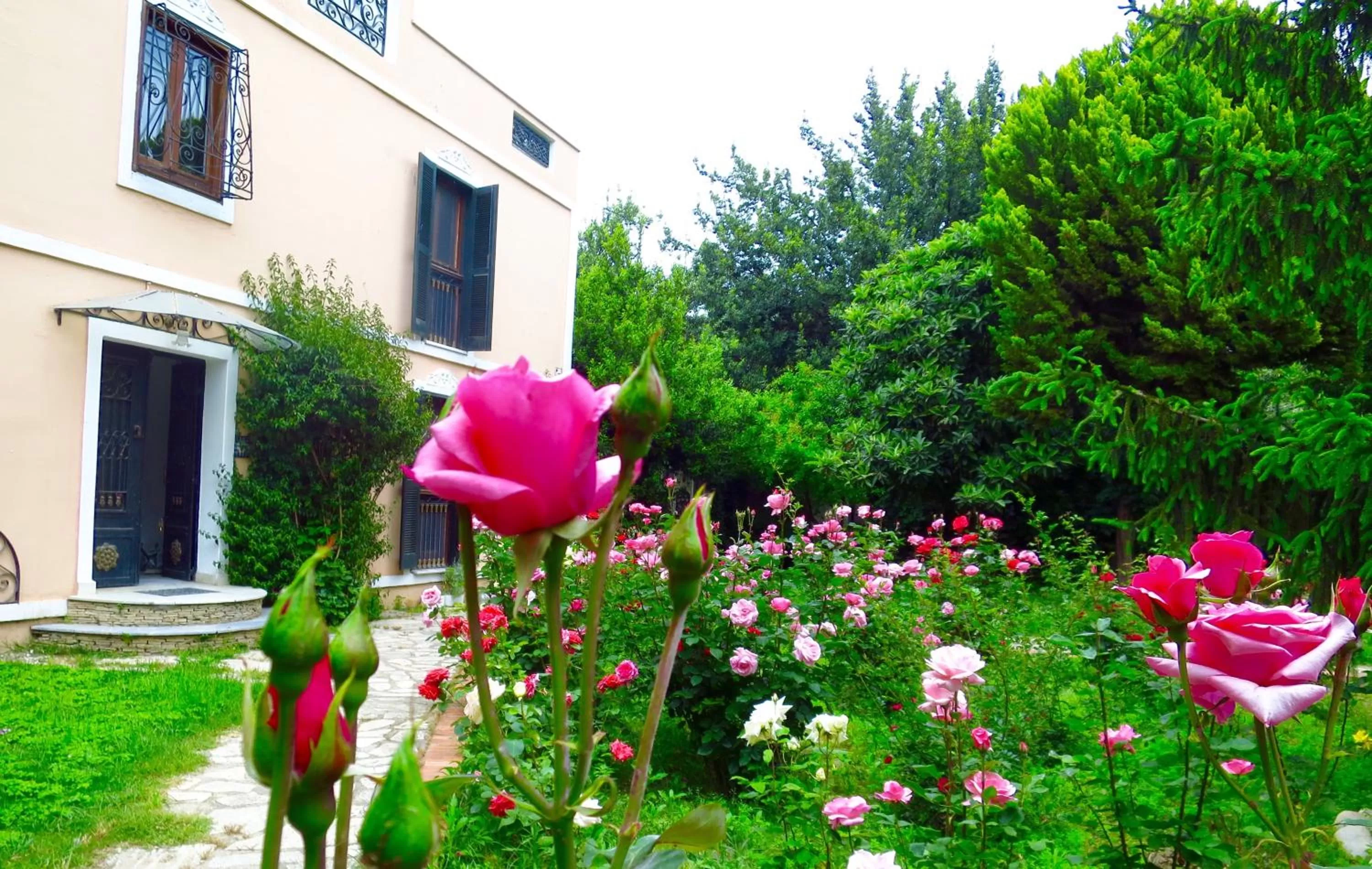 Garden in Hotel Kalehan