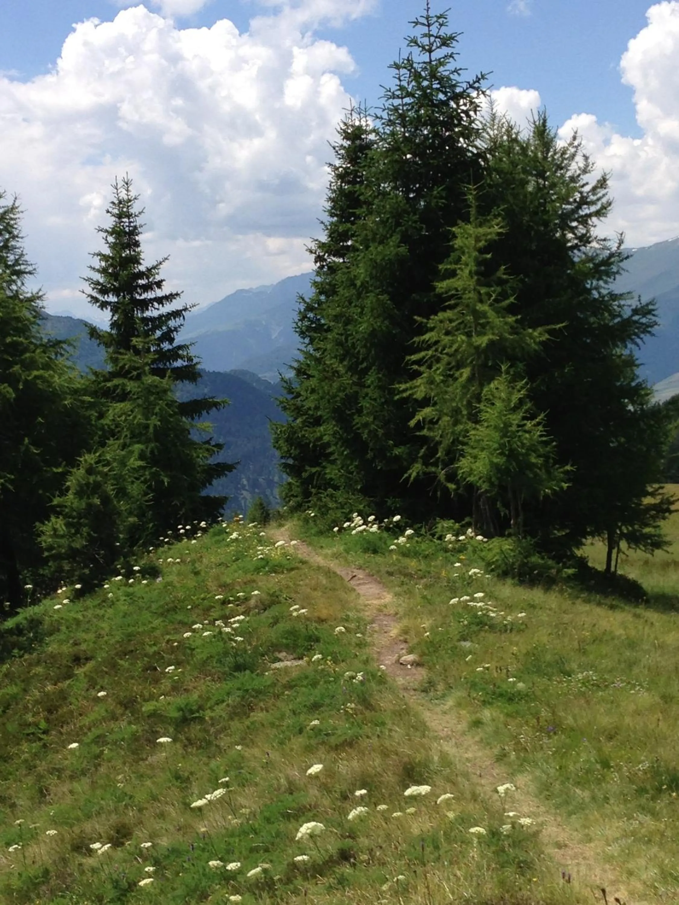 Natural landscape in Hotel Erika