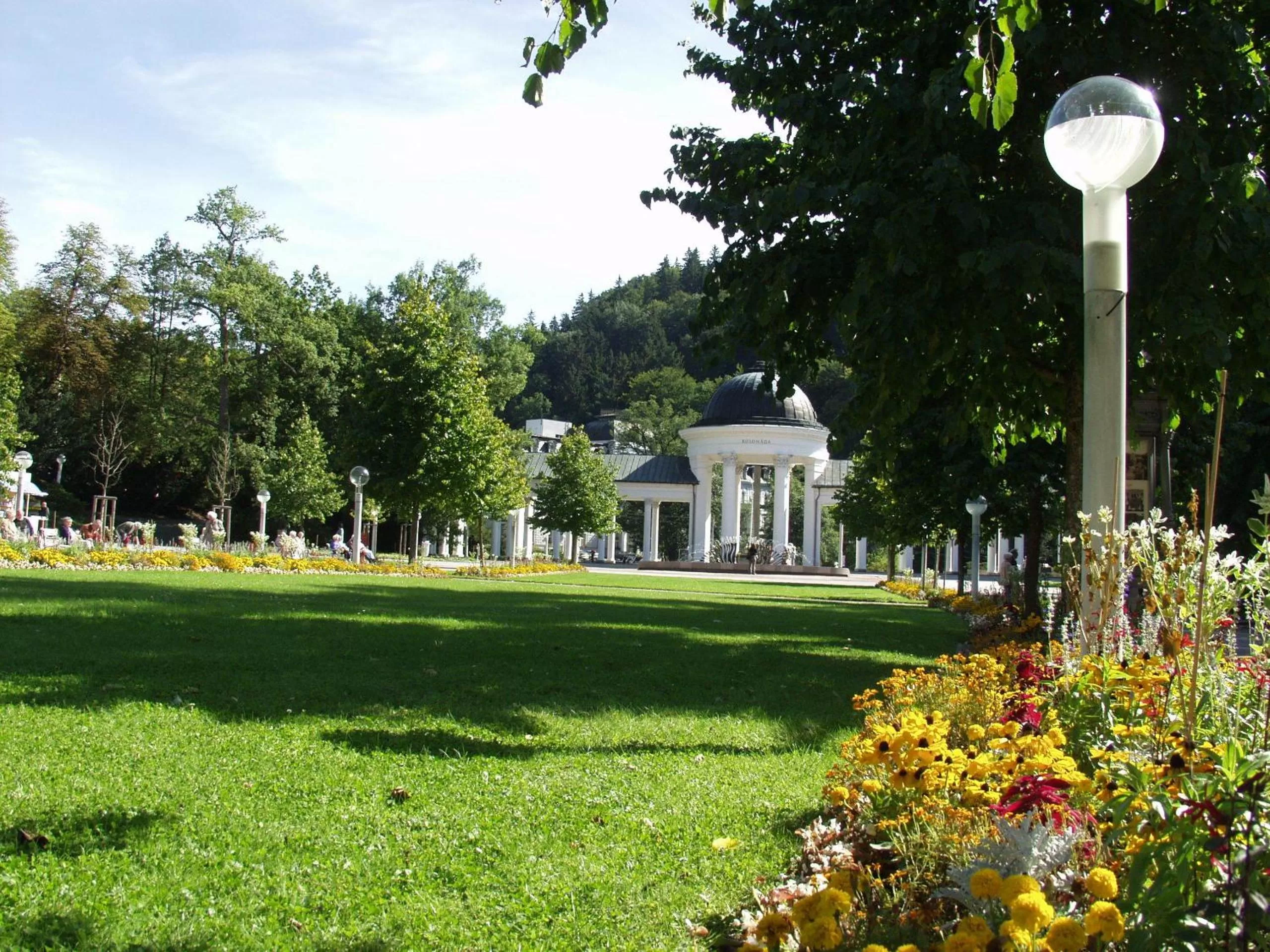 Spa and wellness centre/facilities in Apartma La Provence