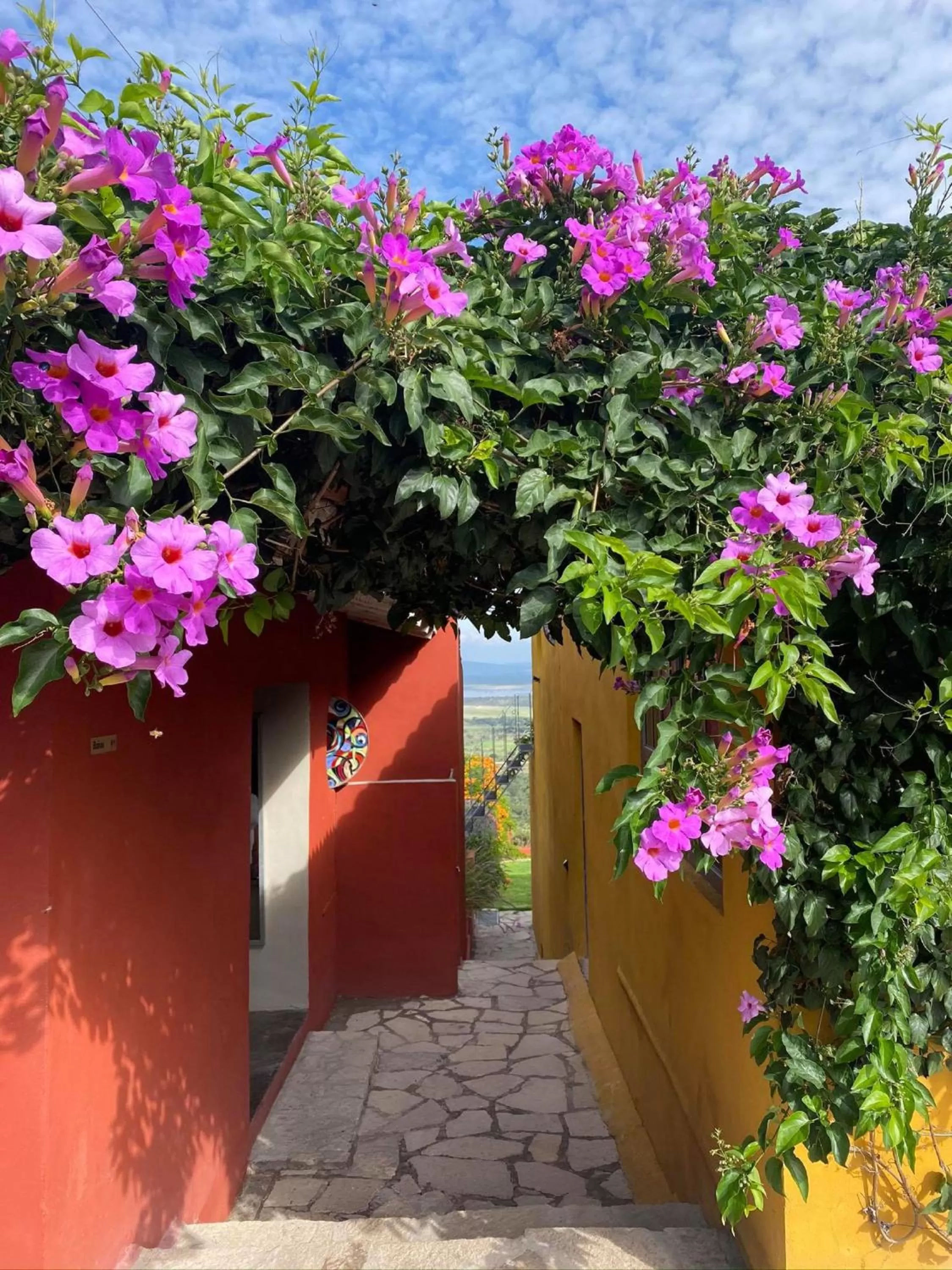 Property building in View Hotel Boutique