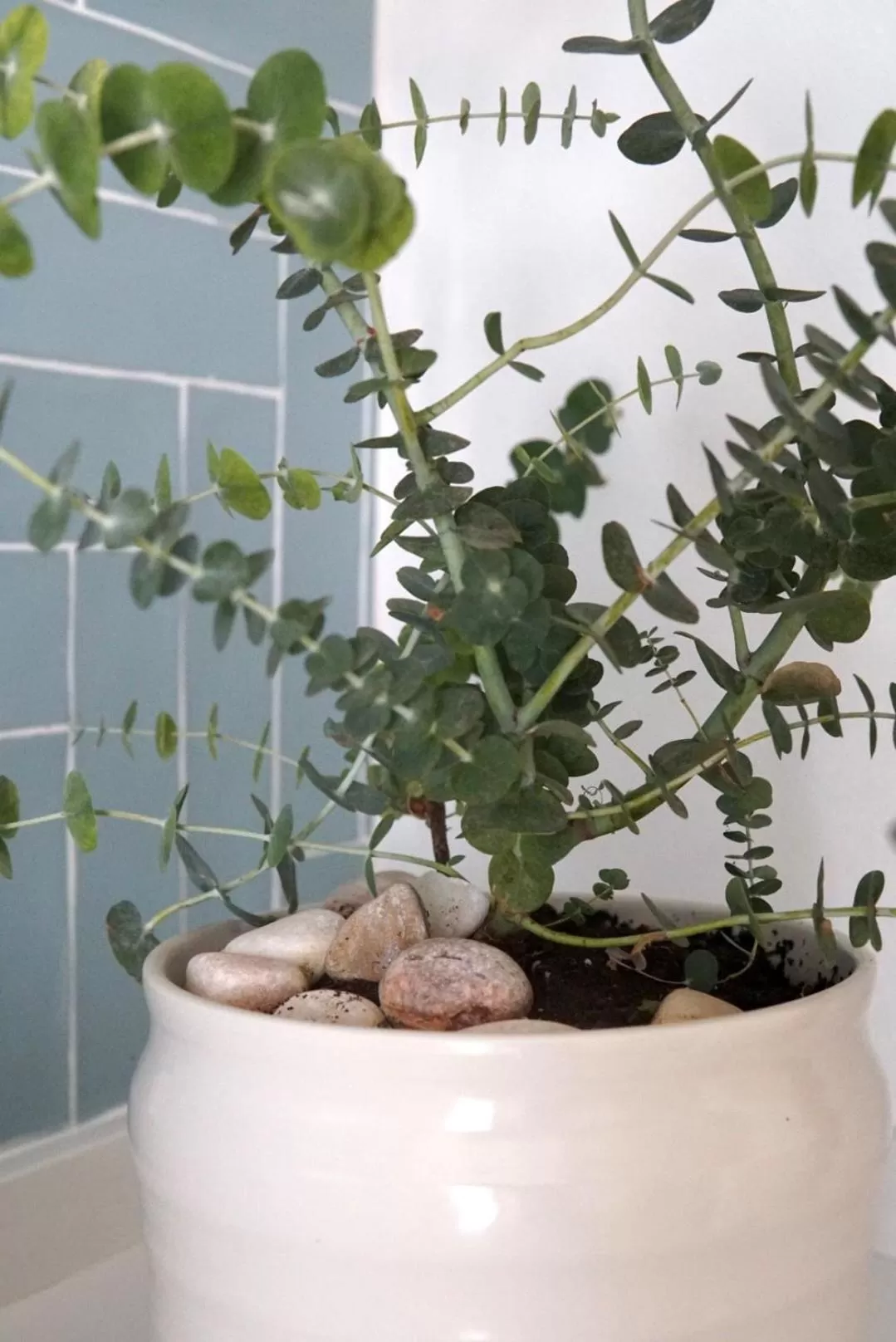 Decorative detail in A Casa de Cima - Cacela Velha