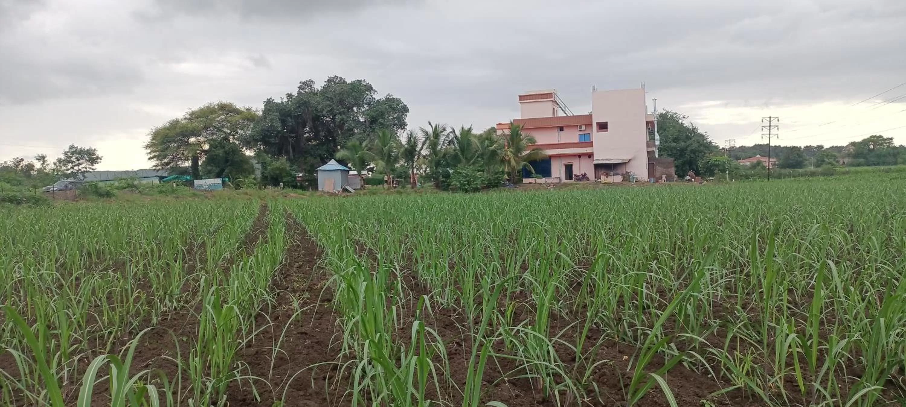 Hotel Nisarg Lodging And Restaurant