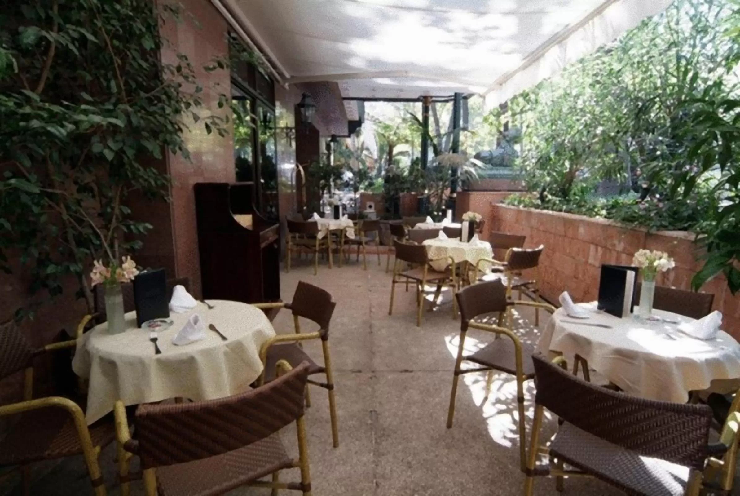 Restaurant/places to eat in Park Plaza Santiago