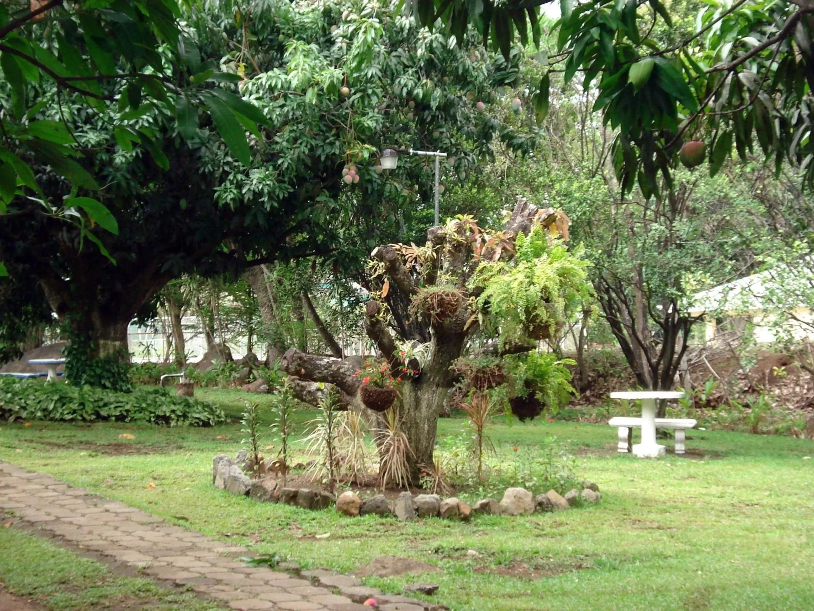 Garden in Hotel Aeropuerto