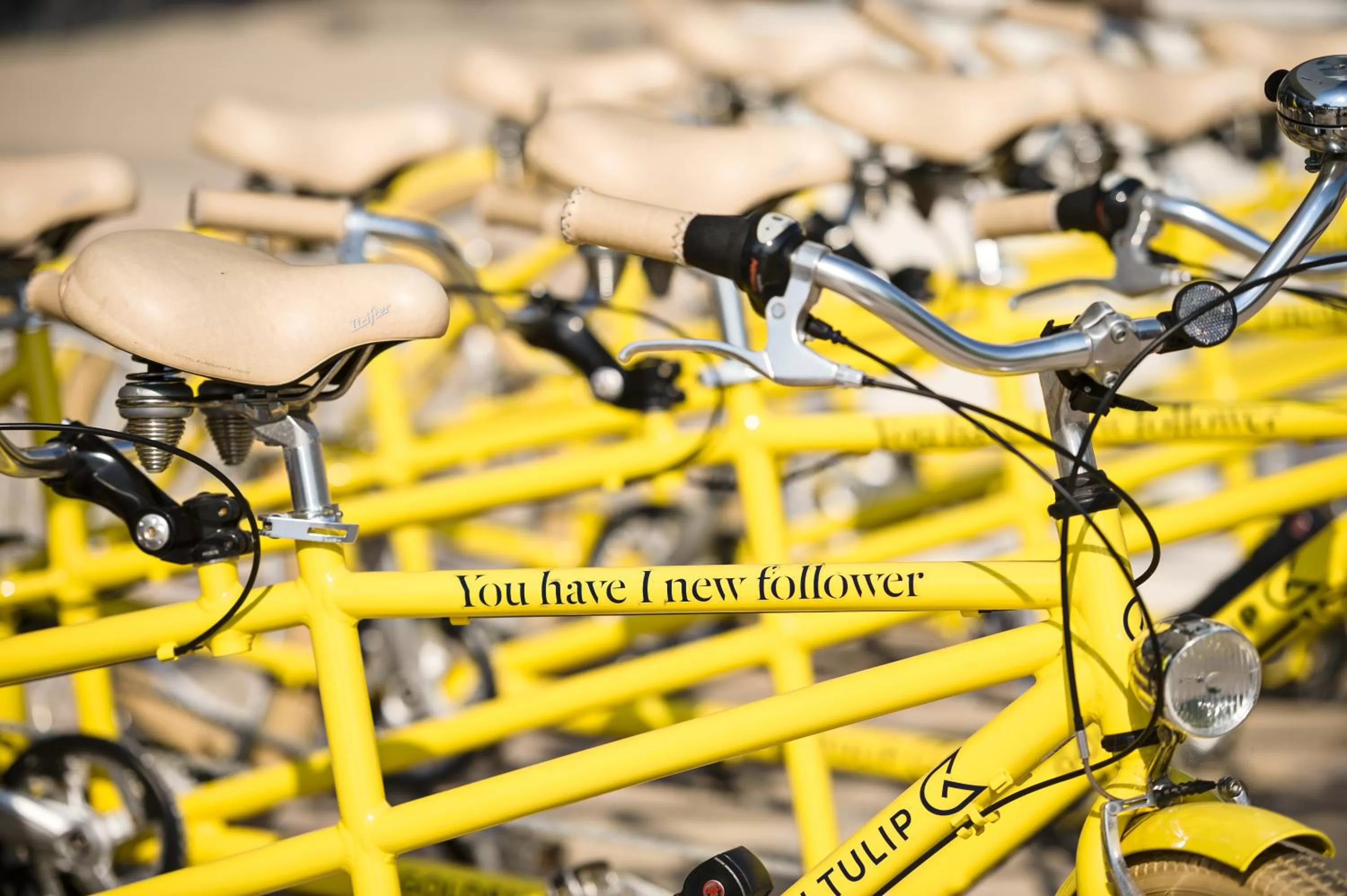 Cycling in Golden Tulip Marseille Euromed