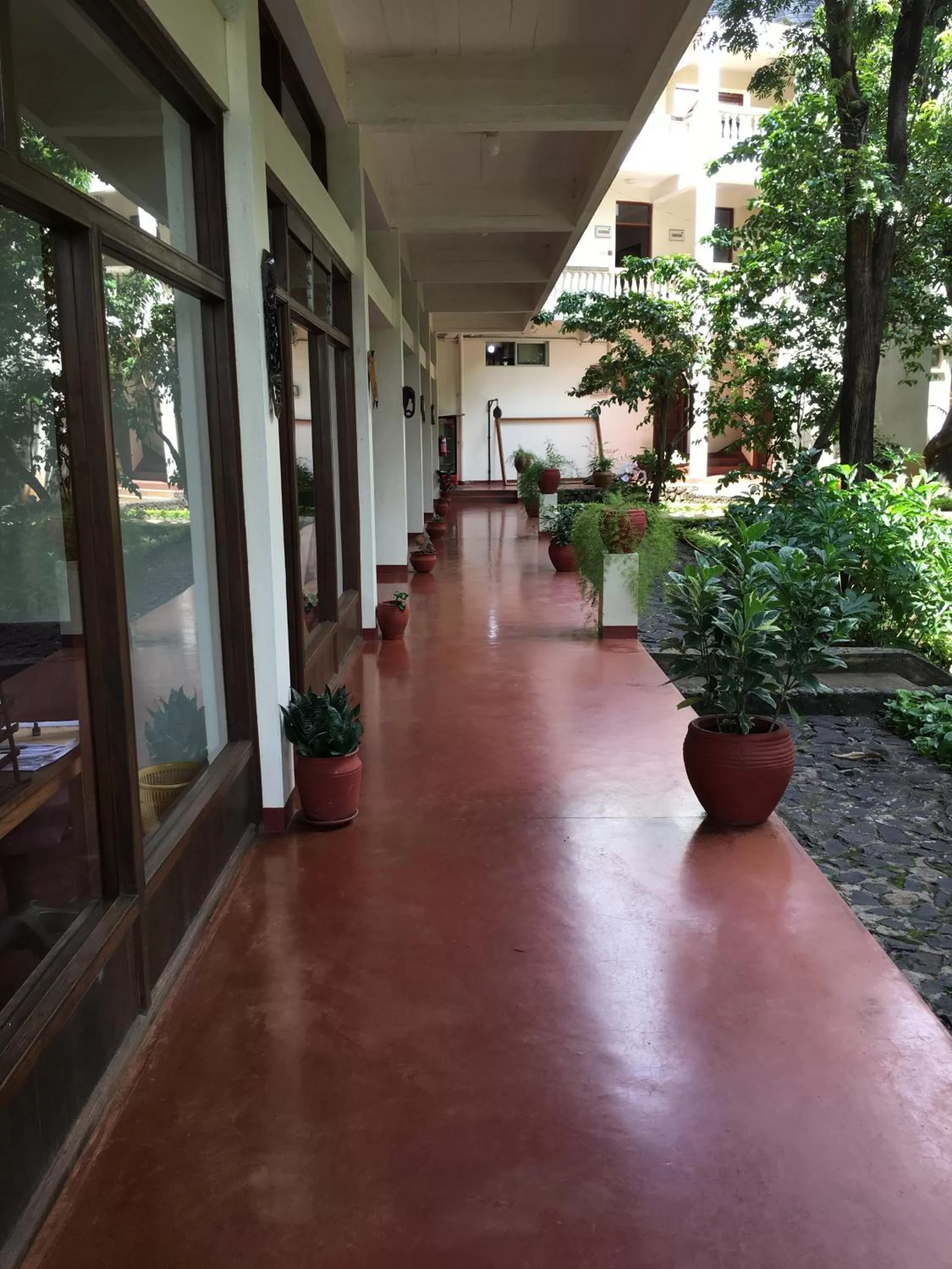 Area and facilities in Bristol Cottages Kilimanjaro