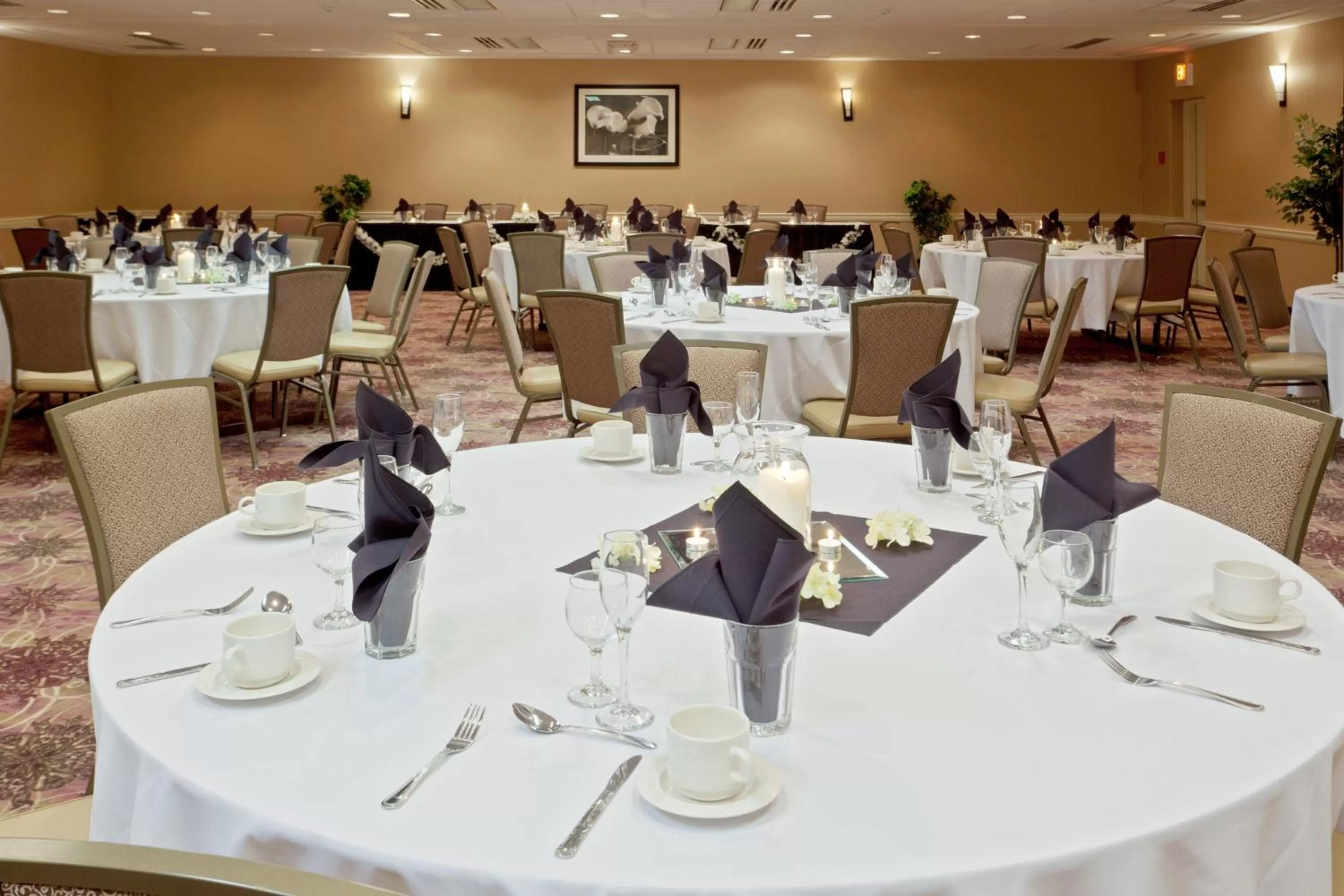 Banquet/Function facilities in Armoni Inn & Suites