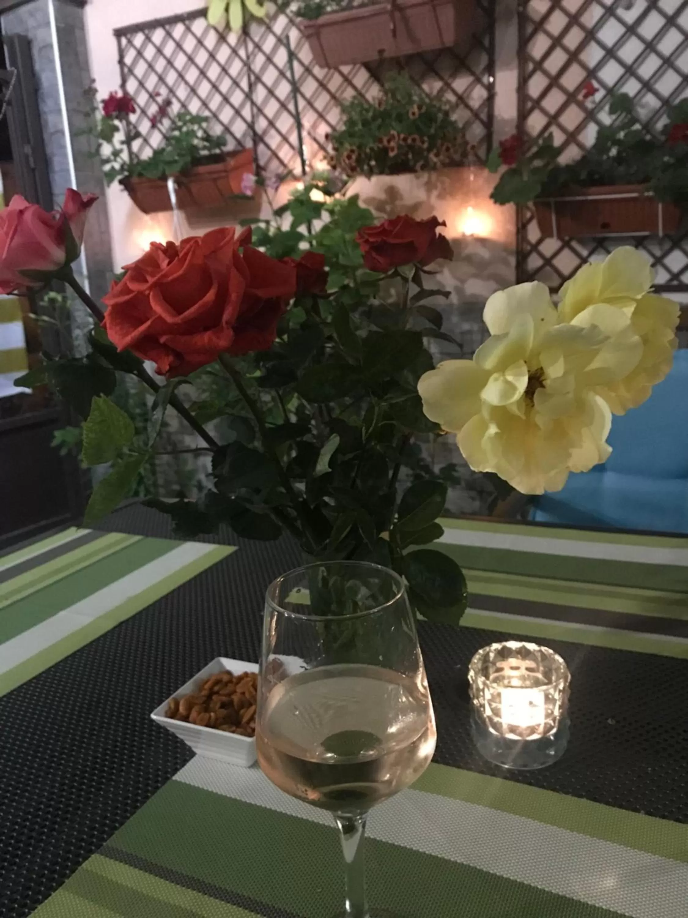 Night in White Rose Guest Rooms