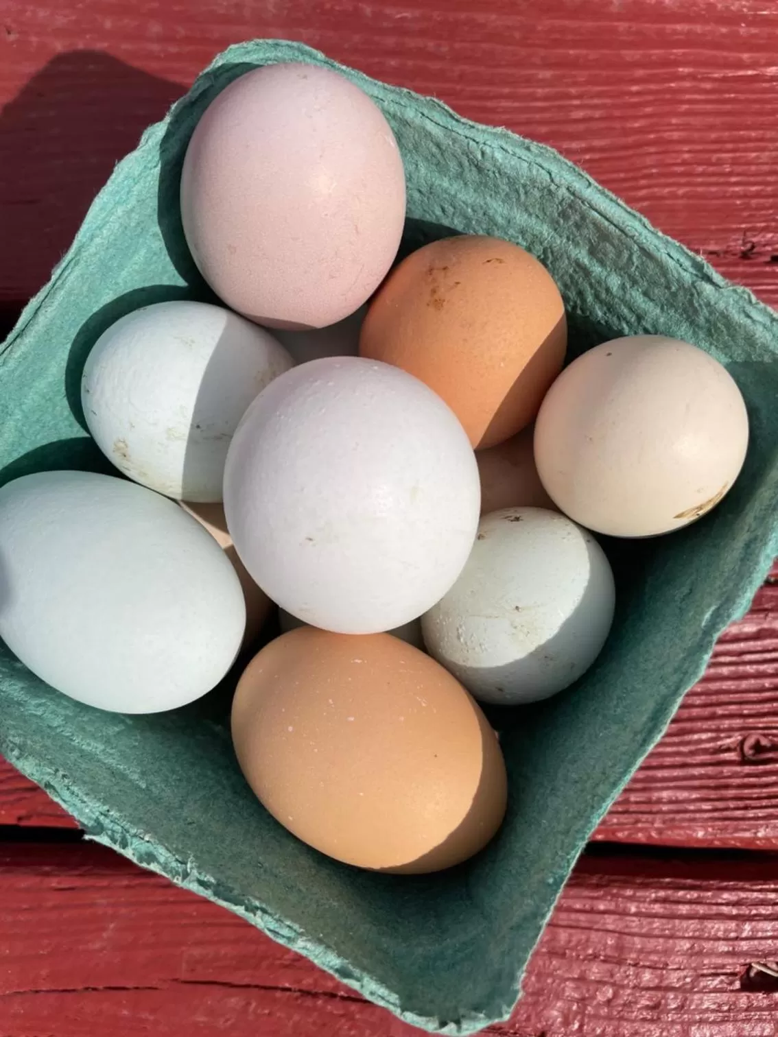 Food in Folkestone Inn