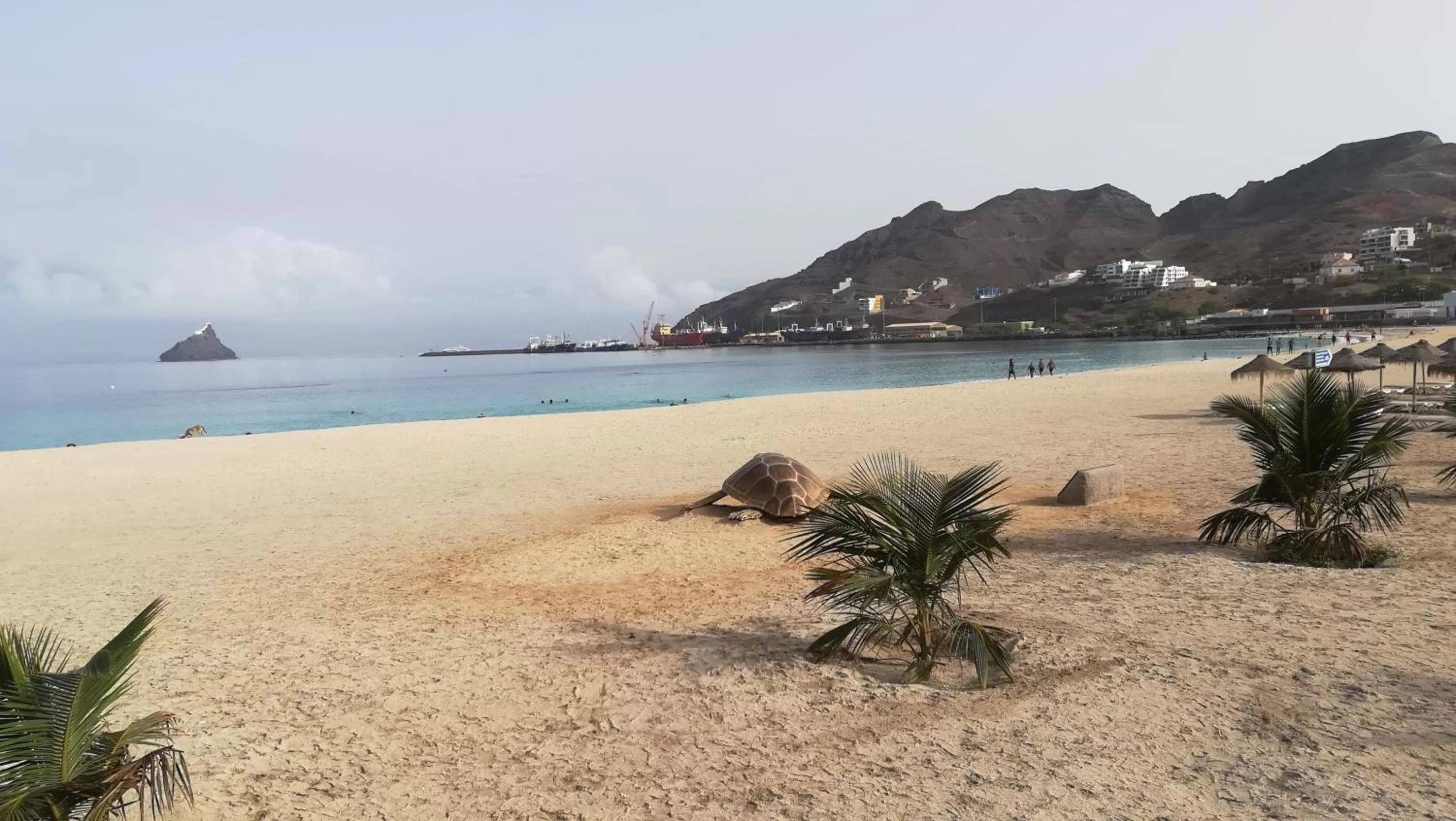 Beach in Basic Hotel