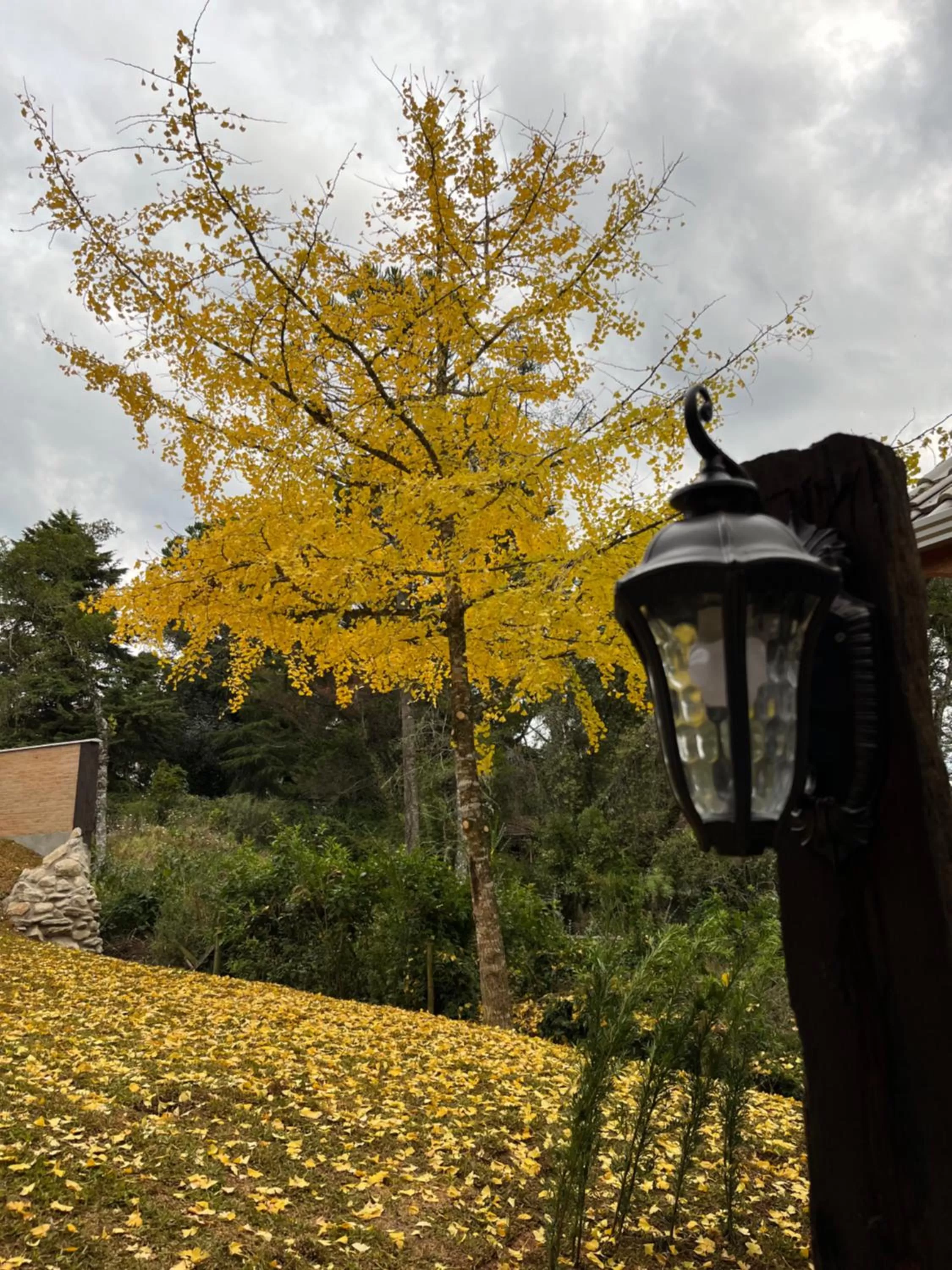 Garden in Pousada Dona Bendita