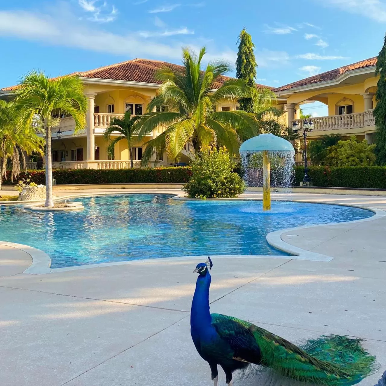 Pool view in La Ensenada Beach Resort