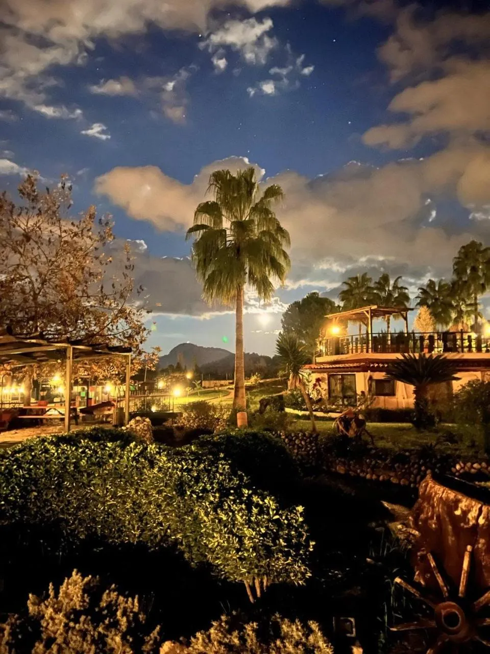 Garden in Hotel Berke Ranch&Nature