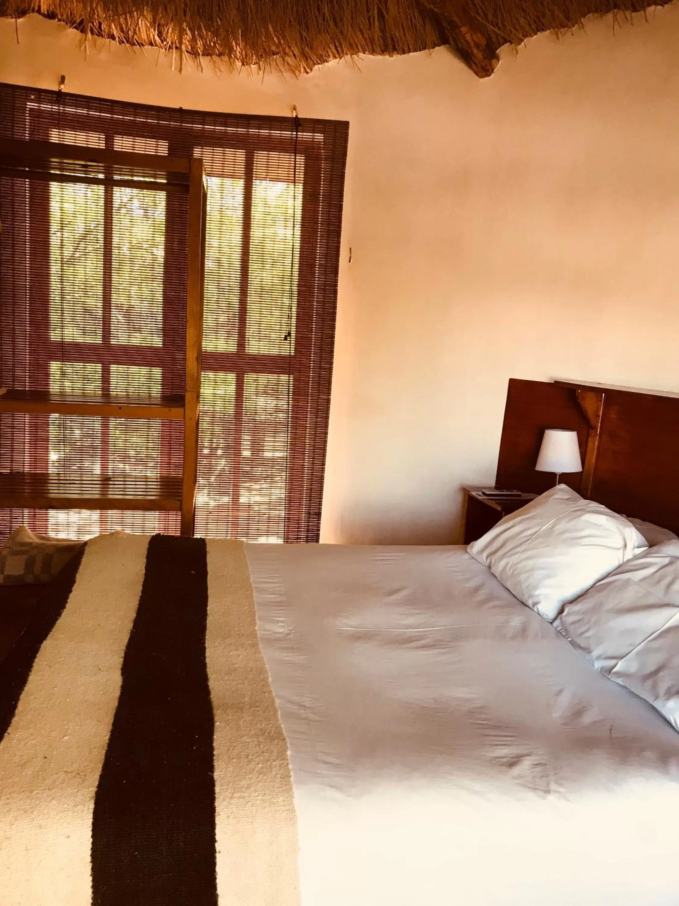 Photo of the whole room, Bed in Hotel La Aldea