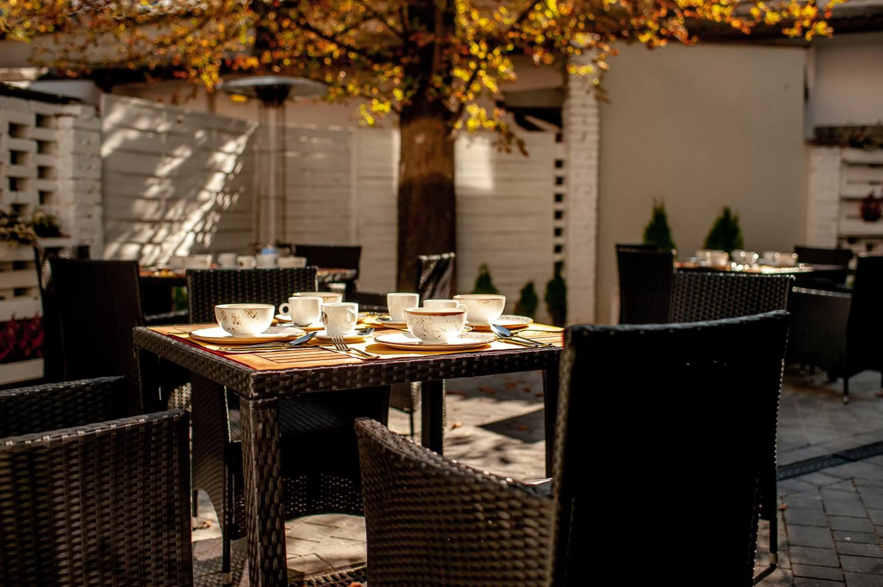 Patio in Plaza Boutique Hotel