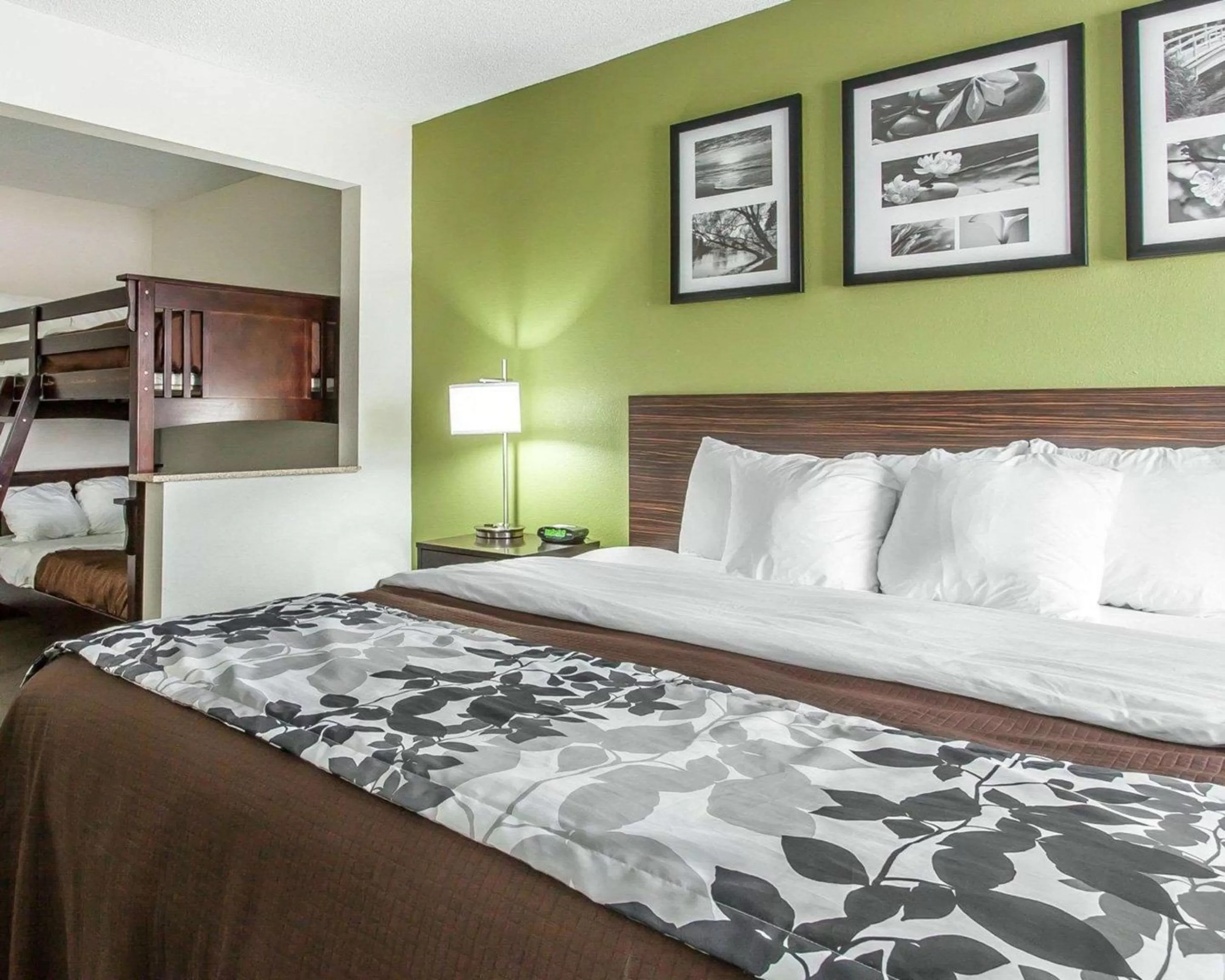 Photo of the whole room, Bed in Sleep Inn & Suites Near I-90 and Ashtabula