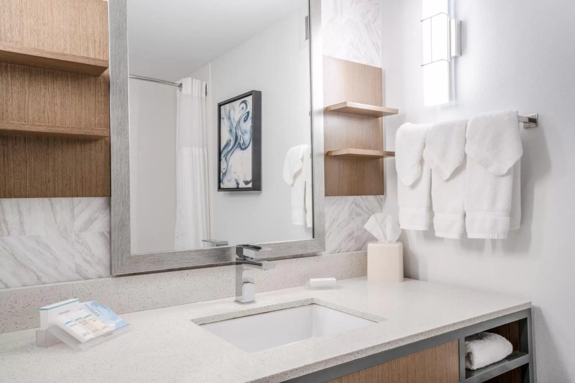 Bathroom in Hilton Garden Inn Pittsburgh/Southpointe